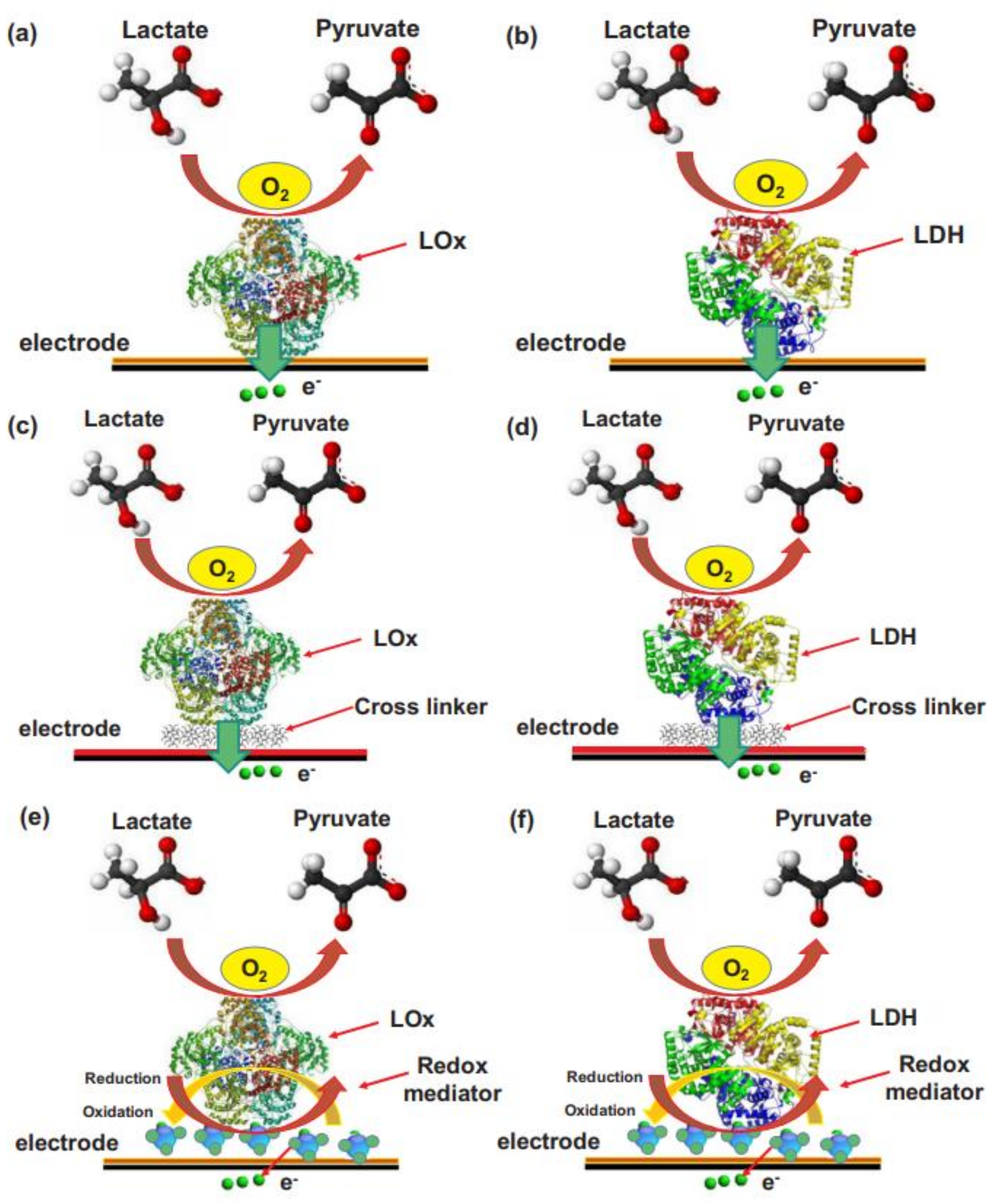 Biosensors 12 00910 g025 Biosensors 12 00910 g025