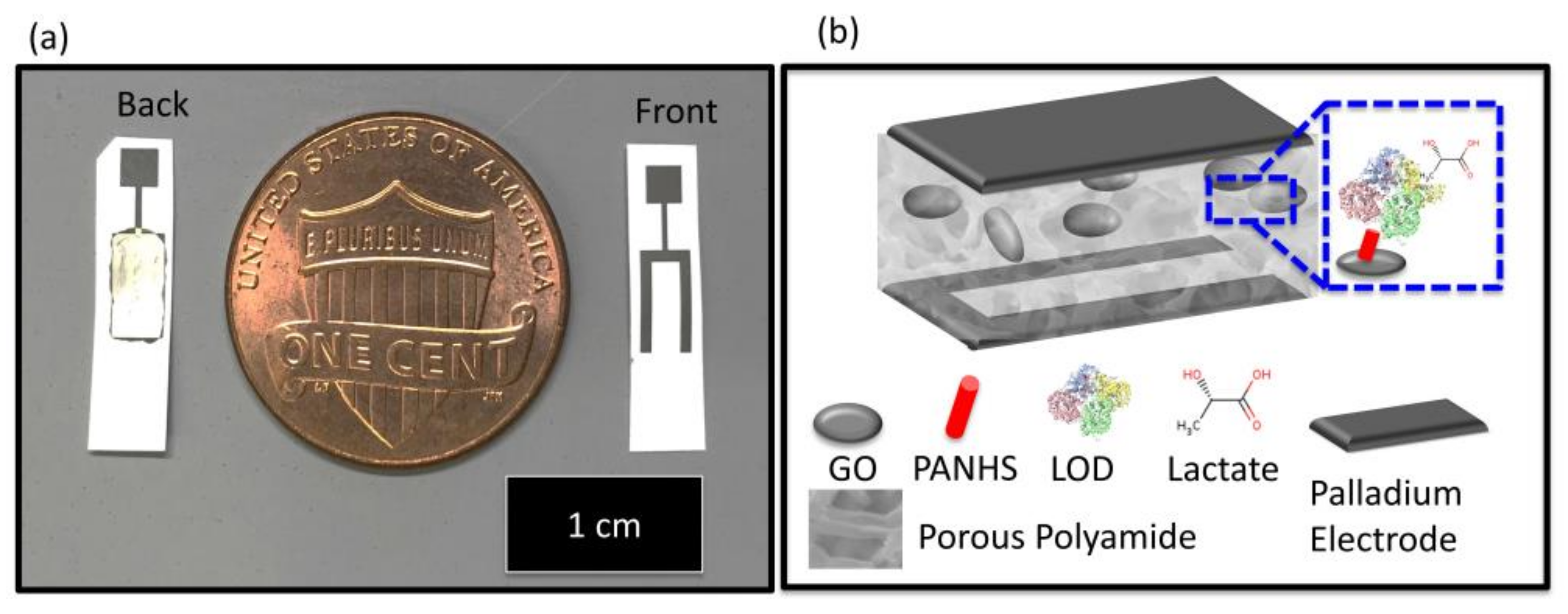 Biosensors 12 00910 g026 Biosensors 12 00910 g026