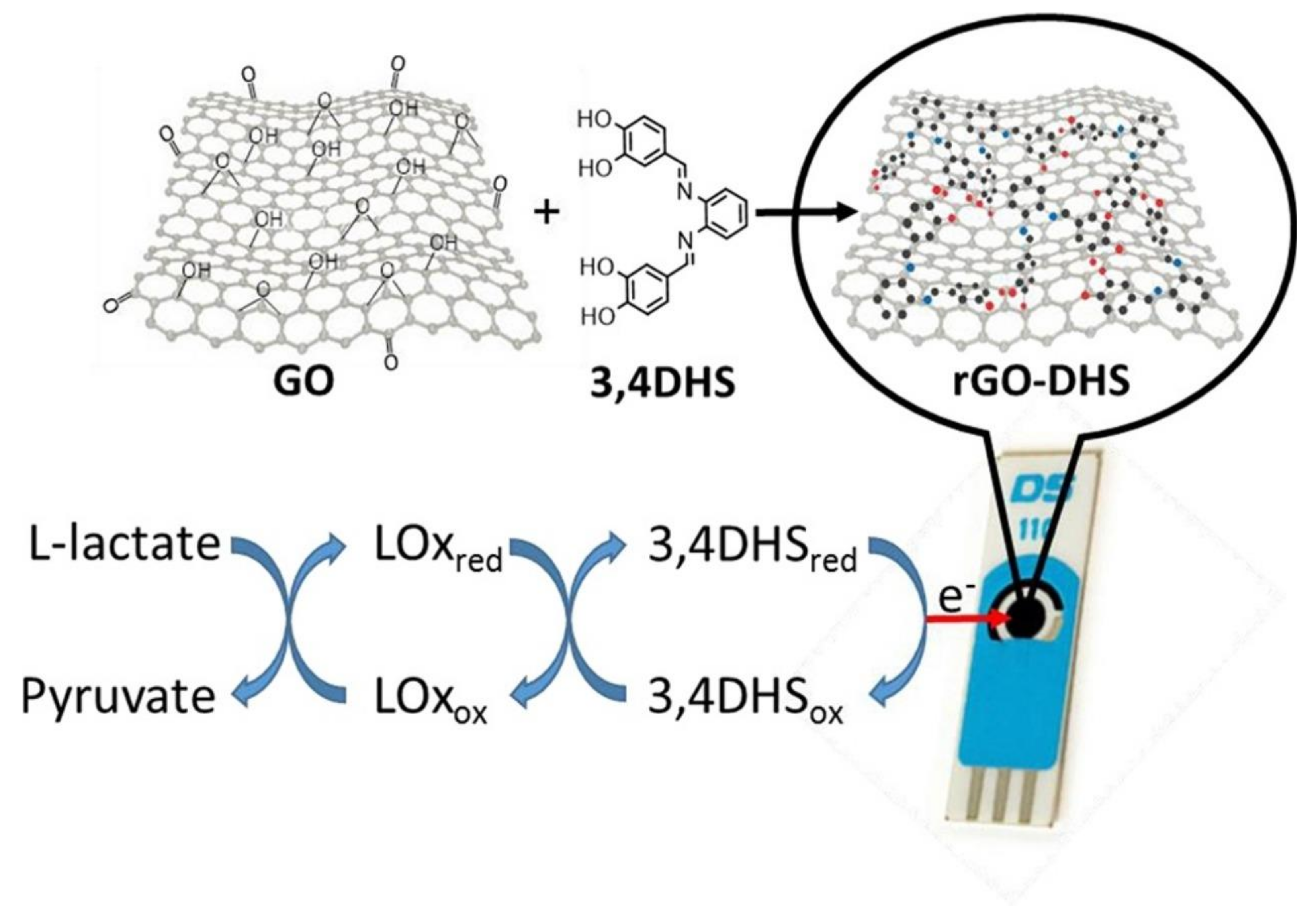 Biosensors 12 00910 g027 Biosensors 12 00910 g027
