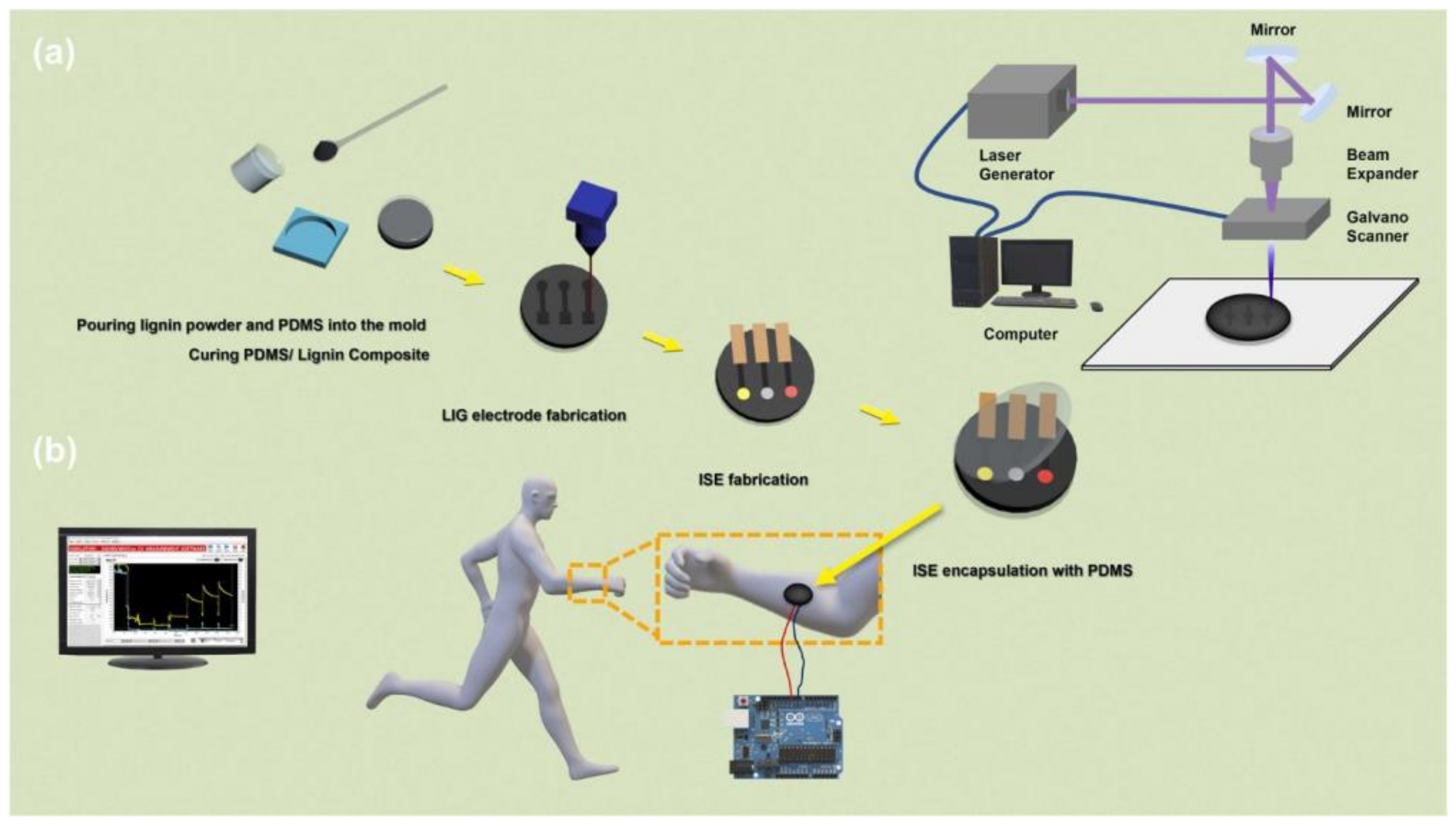 Biosensors 12 00910 g032 Biosensors 12 00910 g032