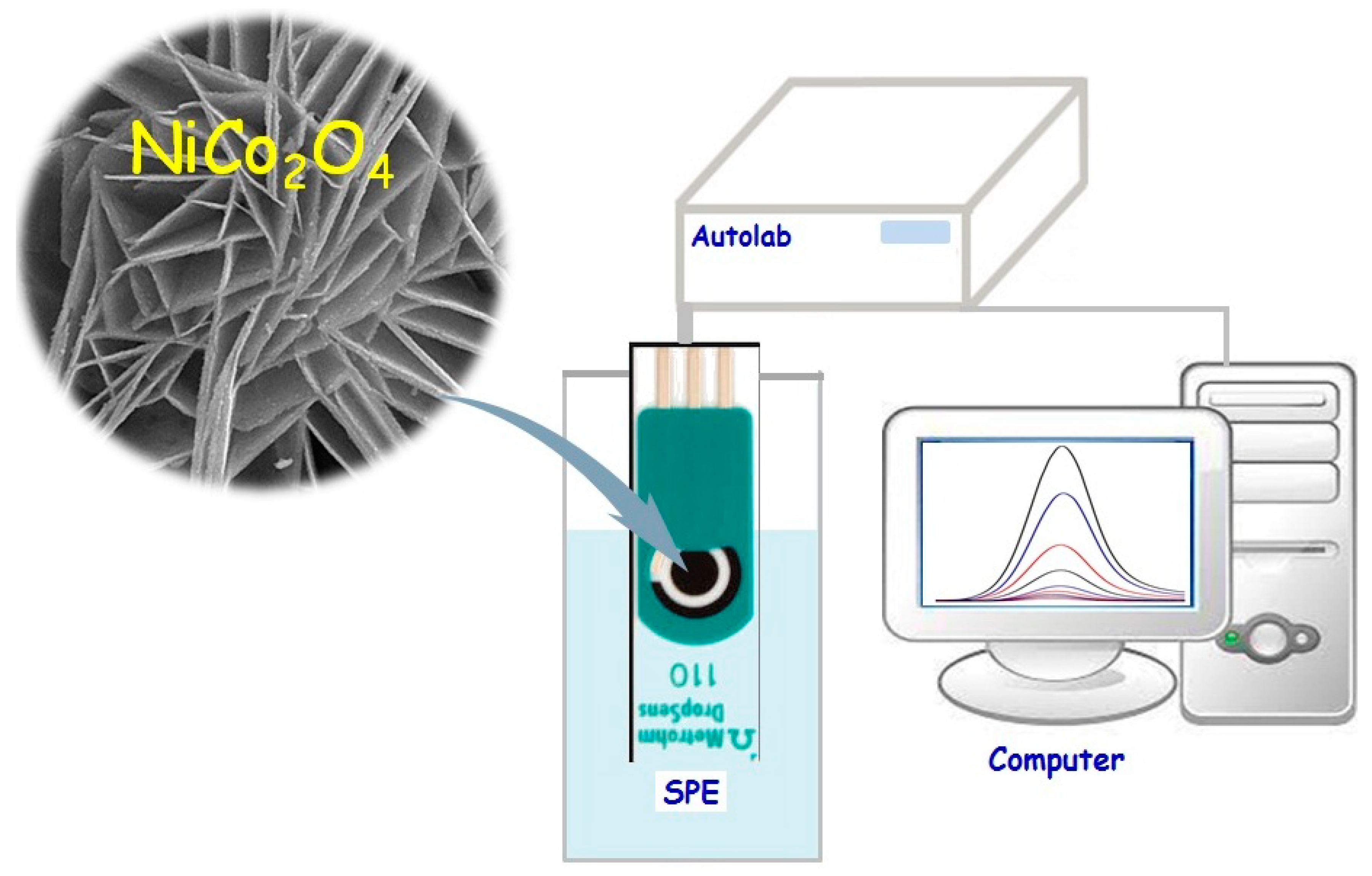 Biosensors 12 00912 sch001