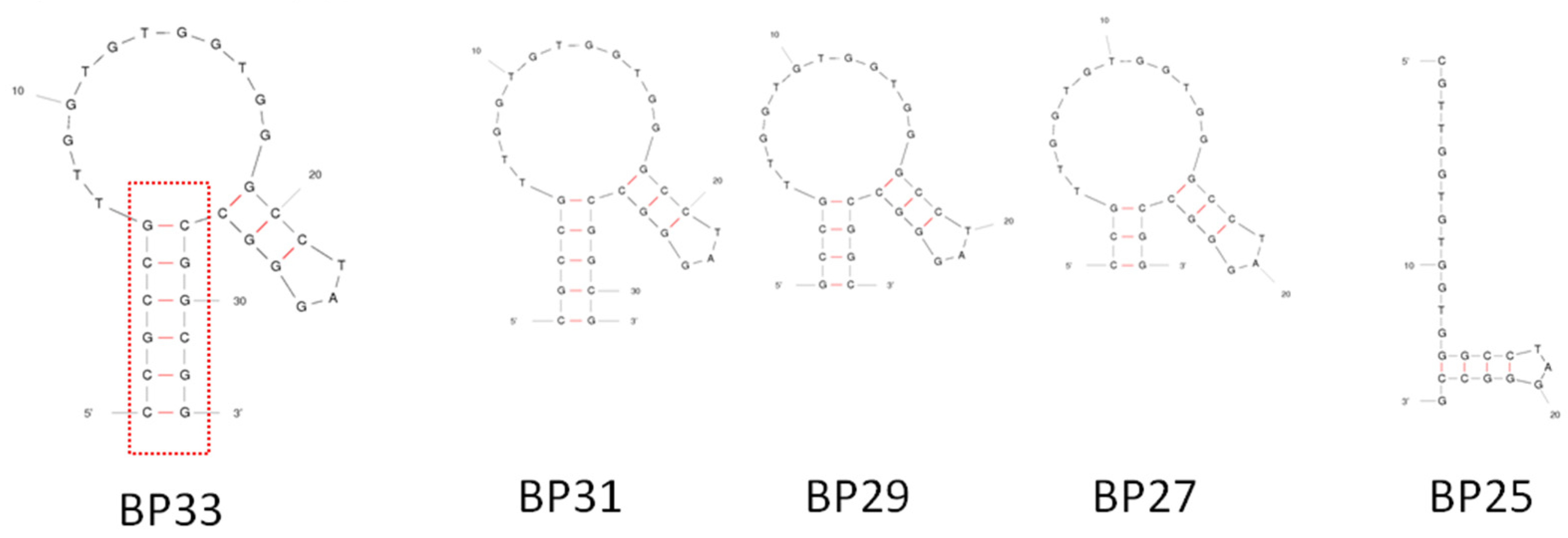 Biosensors 12 00913 g003