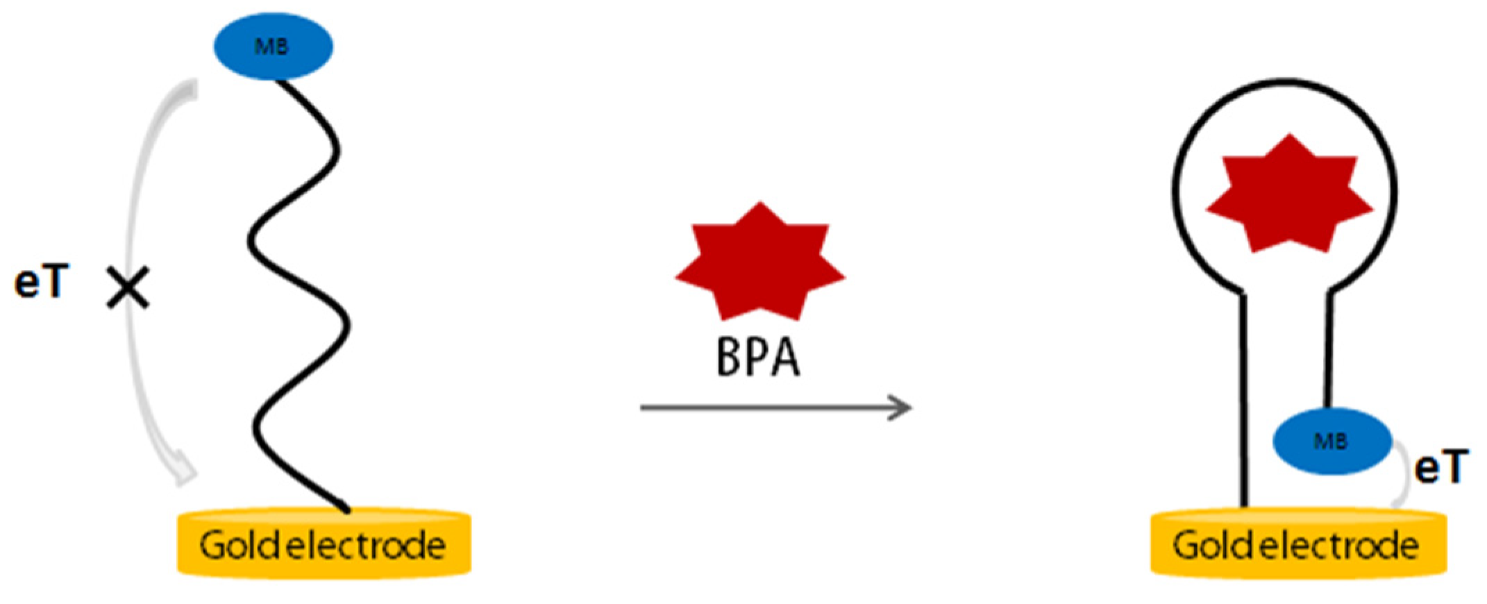 2025-25 秋冬新作  ハイブランドの The Characterization of Binding between Aptamer and Nintendo Switch