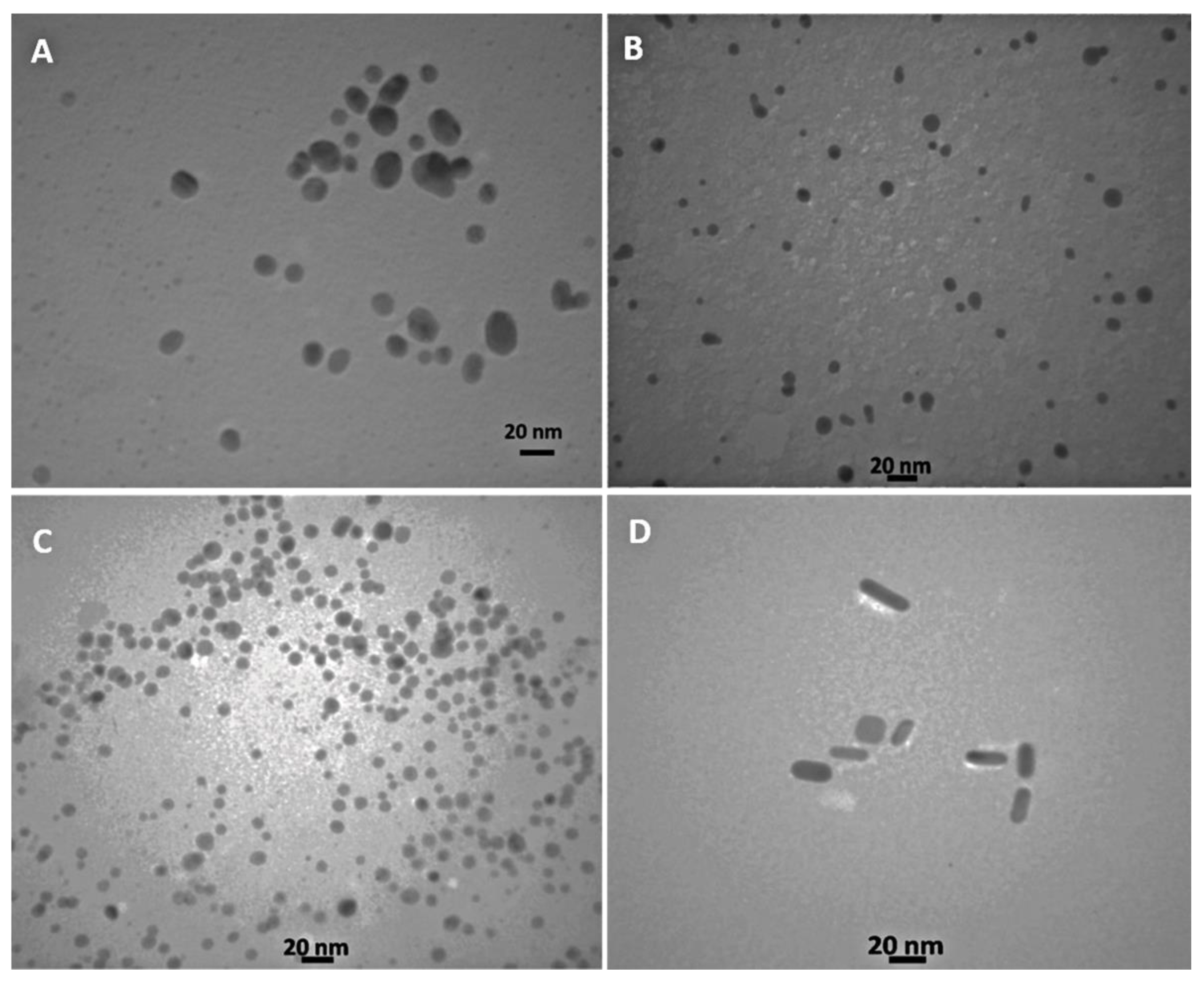 Biosensors 12 00918 g002 Biosensors 12 00918 g002