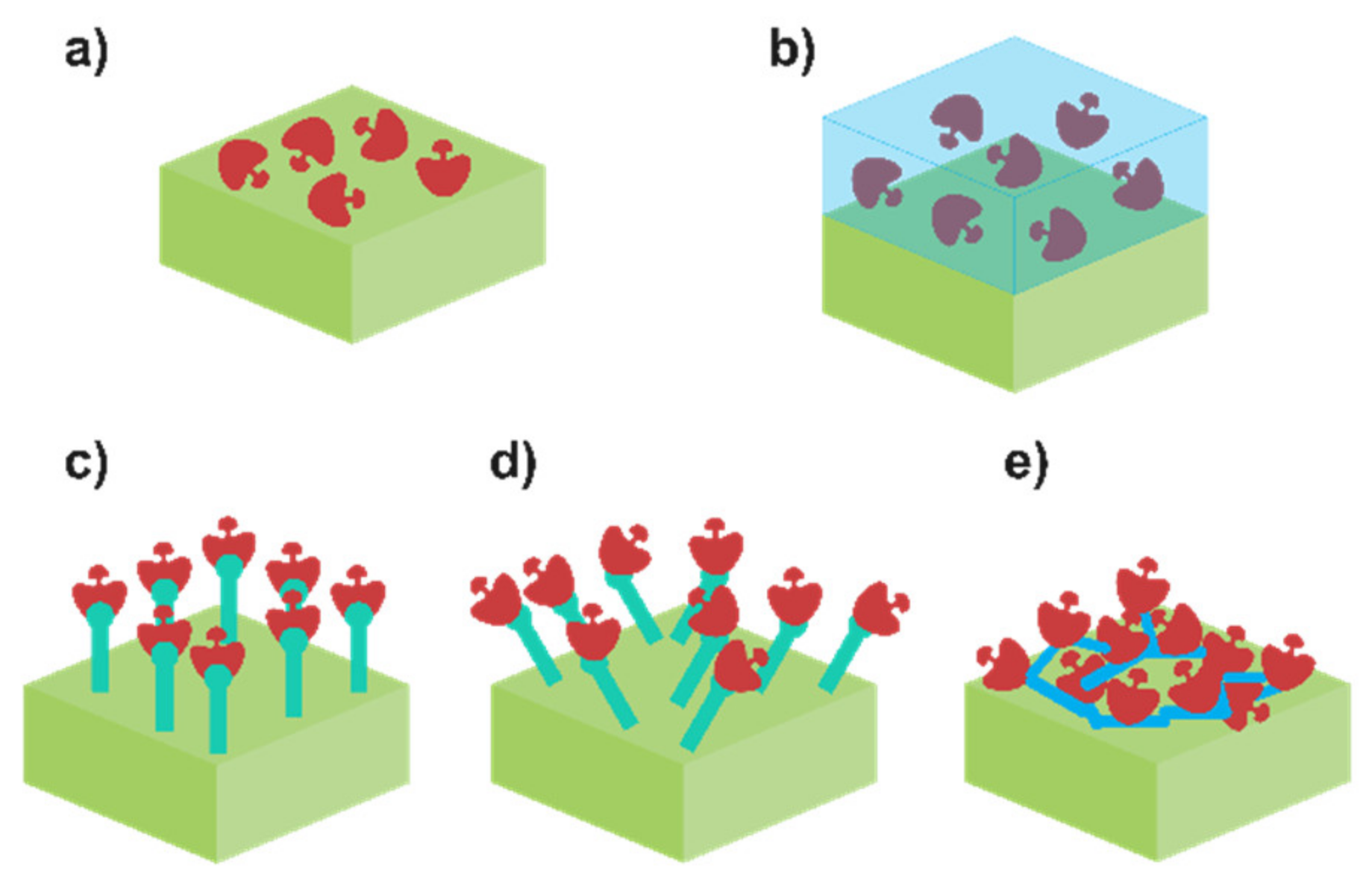 Biosensors 12 00919 g003 Biosensors 12 00919 g003