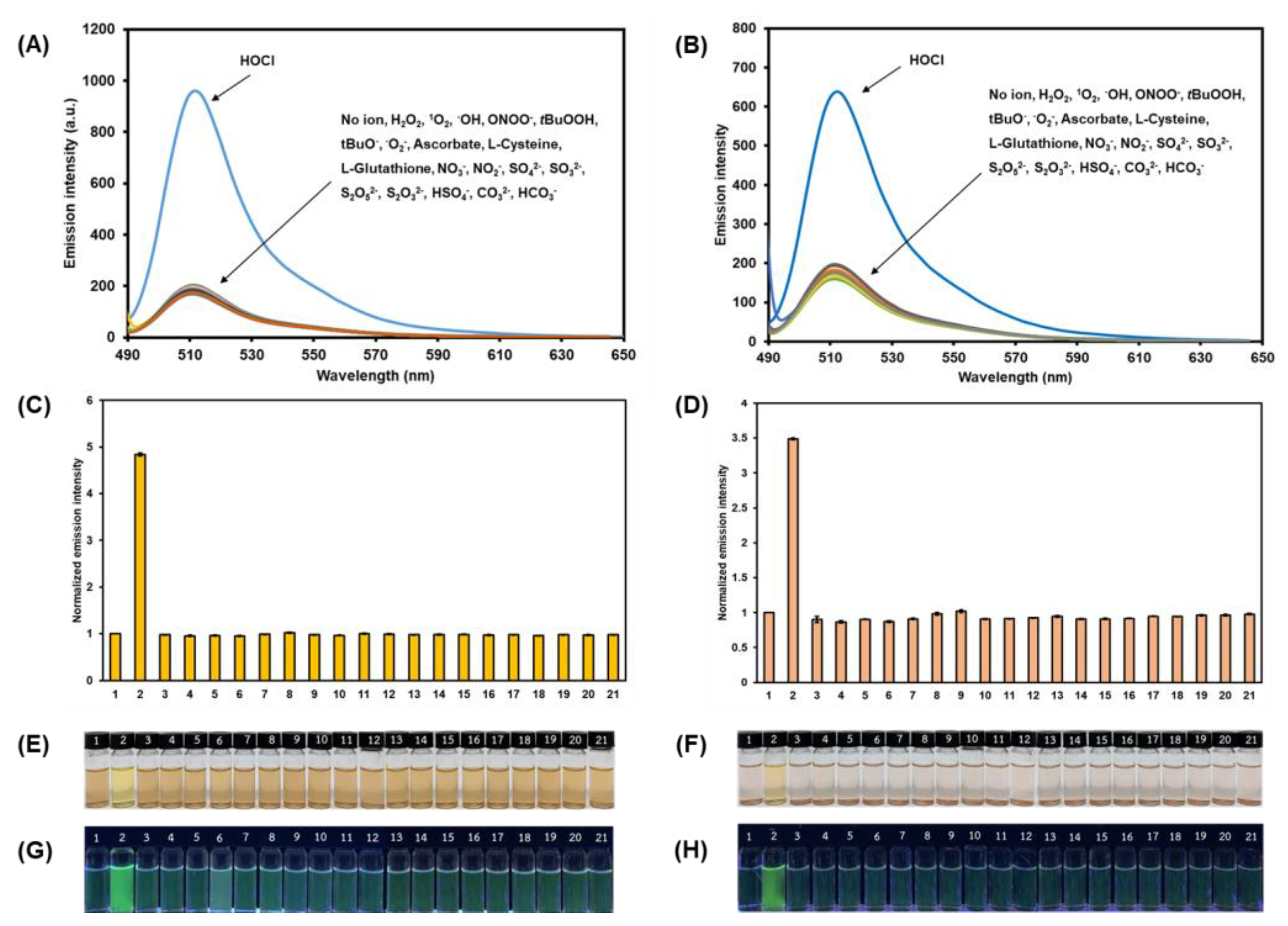 Biosensors 12 00923 g005 Biosensors 12 00923 g005