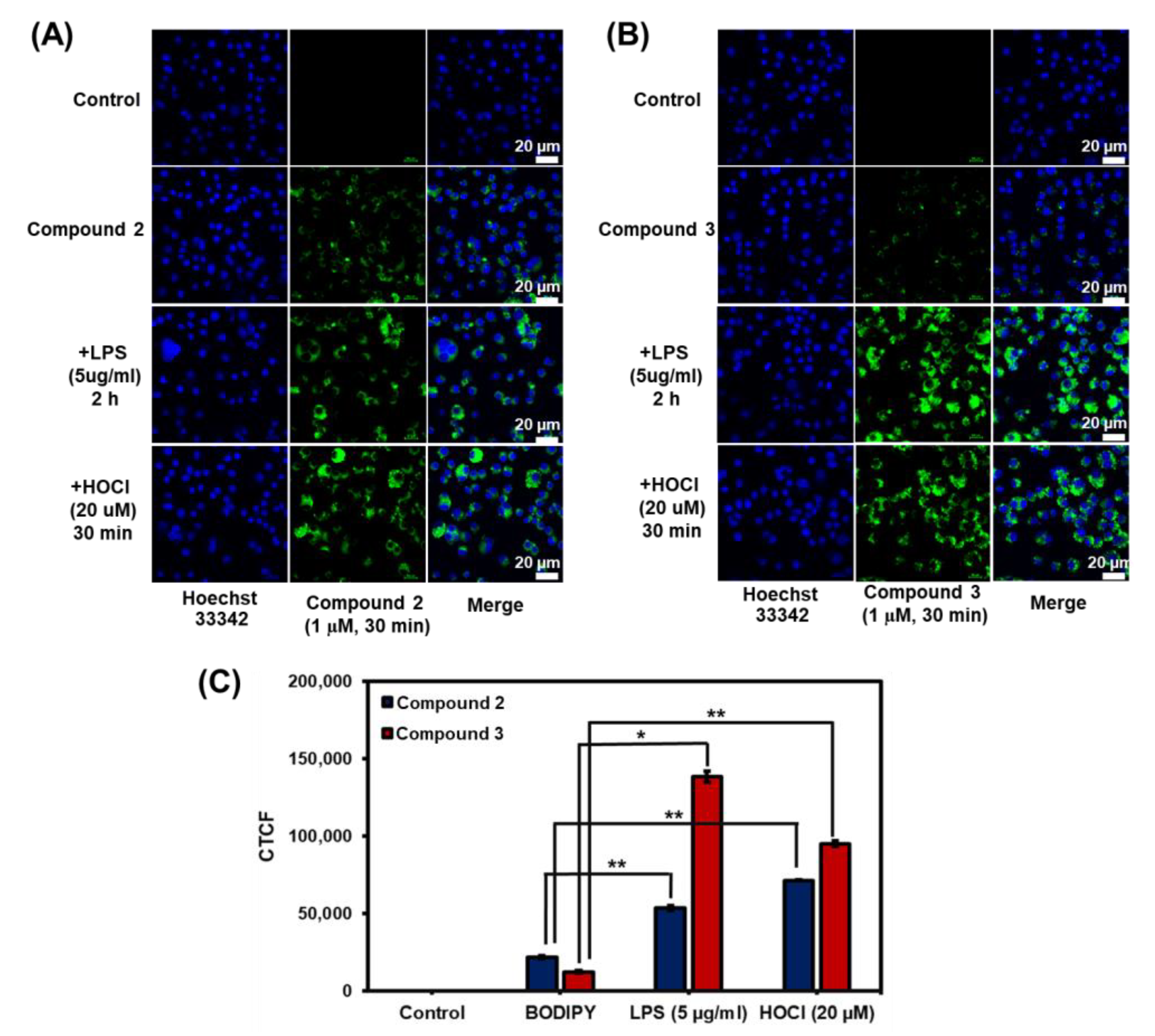 Biosensors 12 00923 g008 Biosensors 12 00923 g008