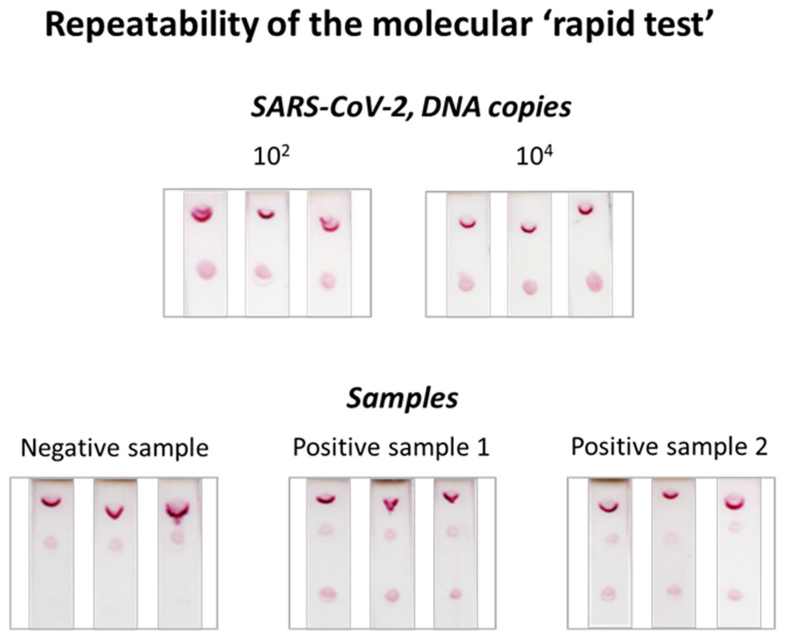 Biosensors 12 00926 g006