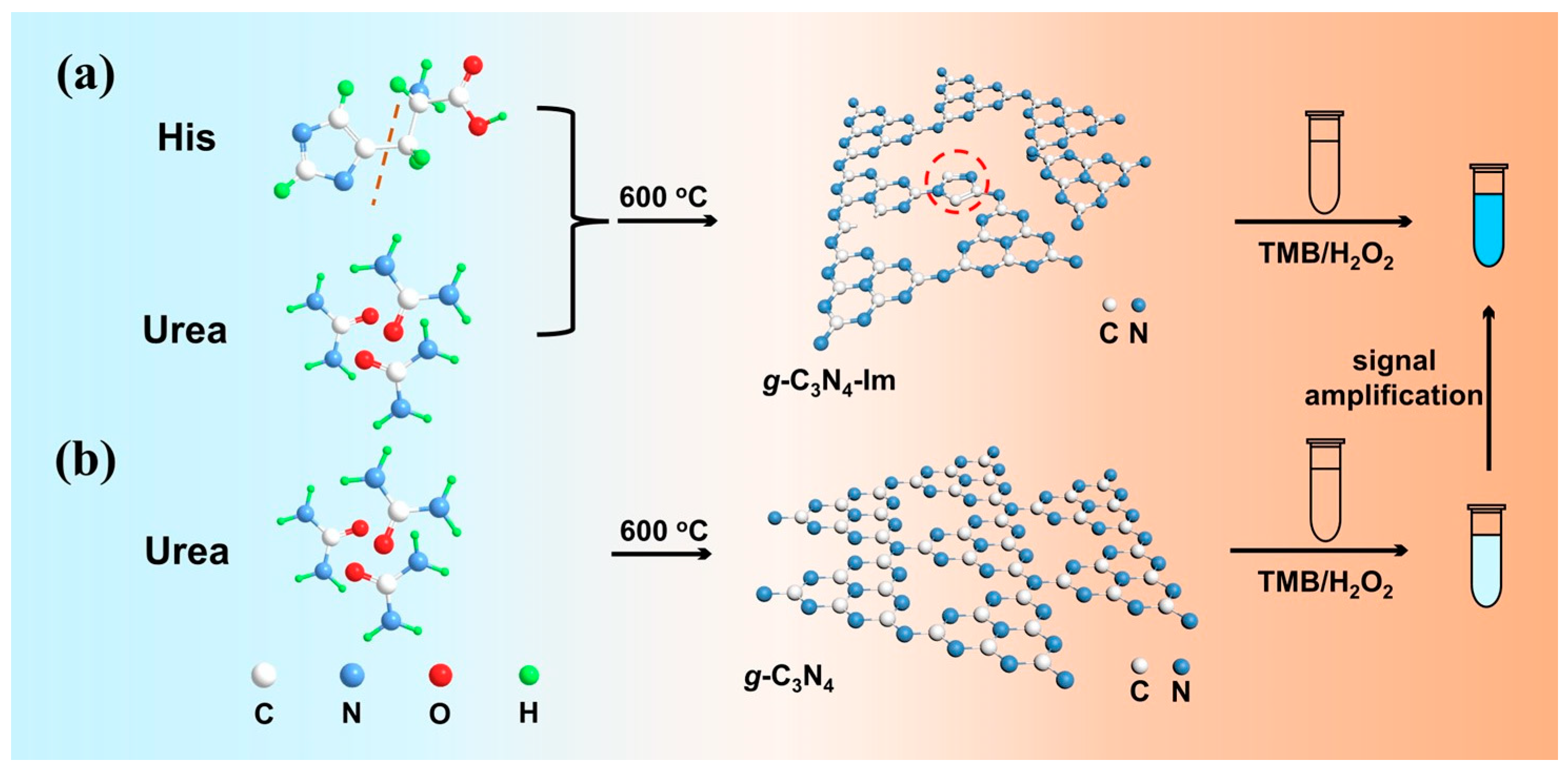 Biosensors 12 00930 g001