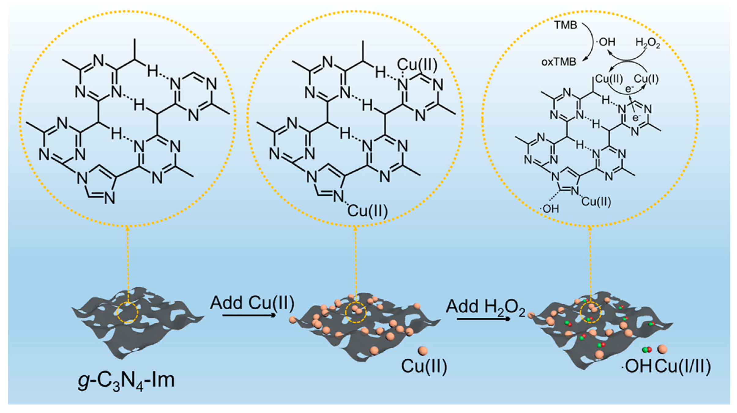 Biosensors 12 00930 g004