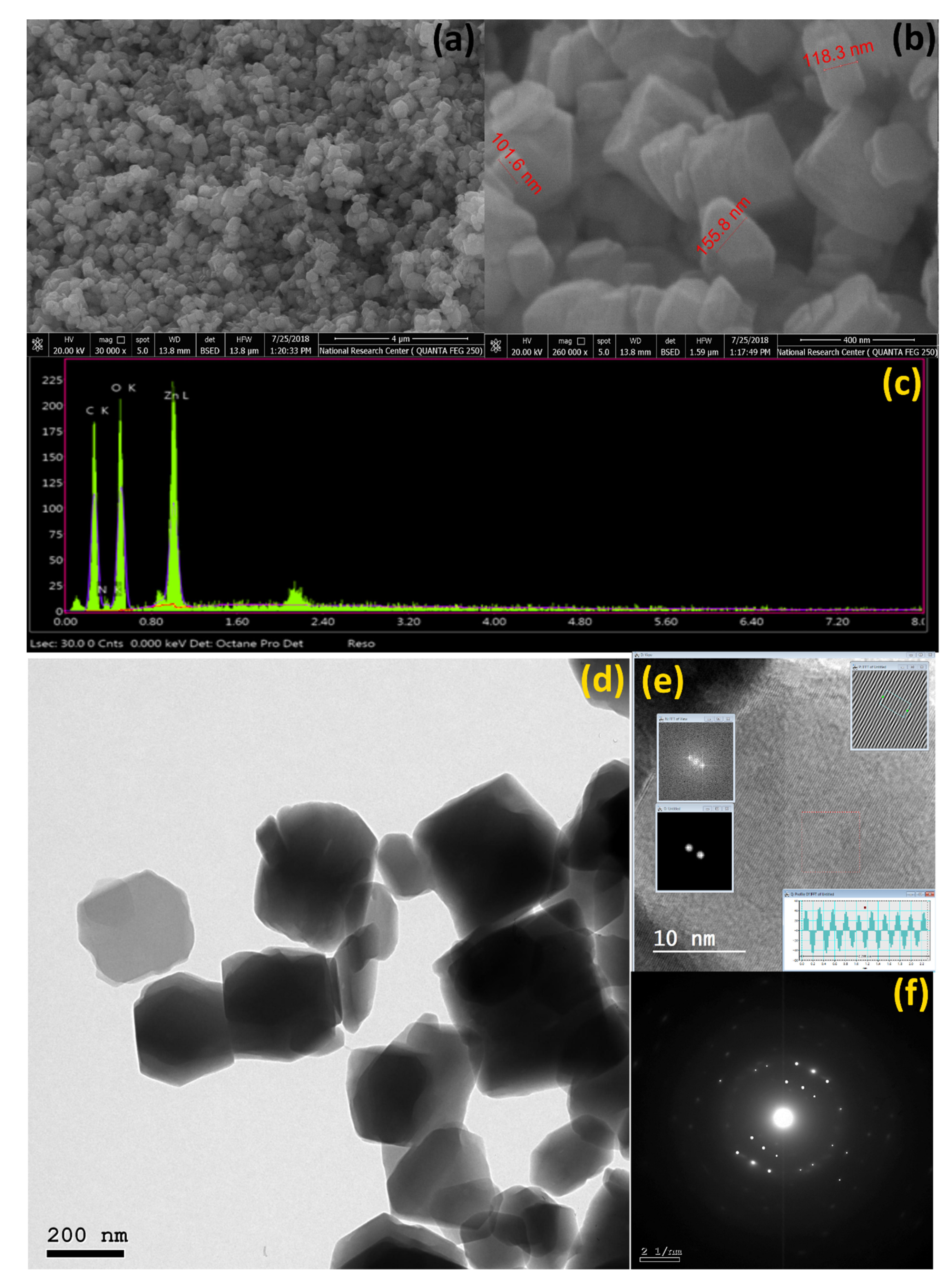Biosensors 12 00931 g001