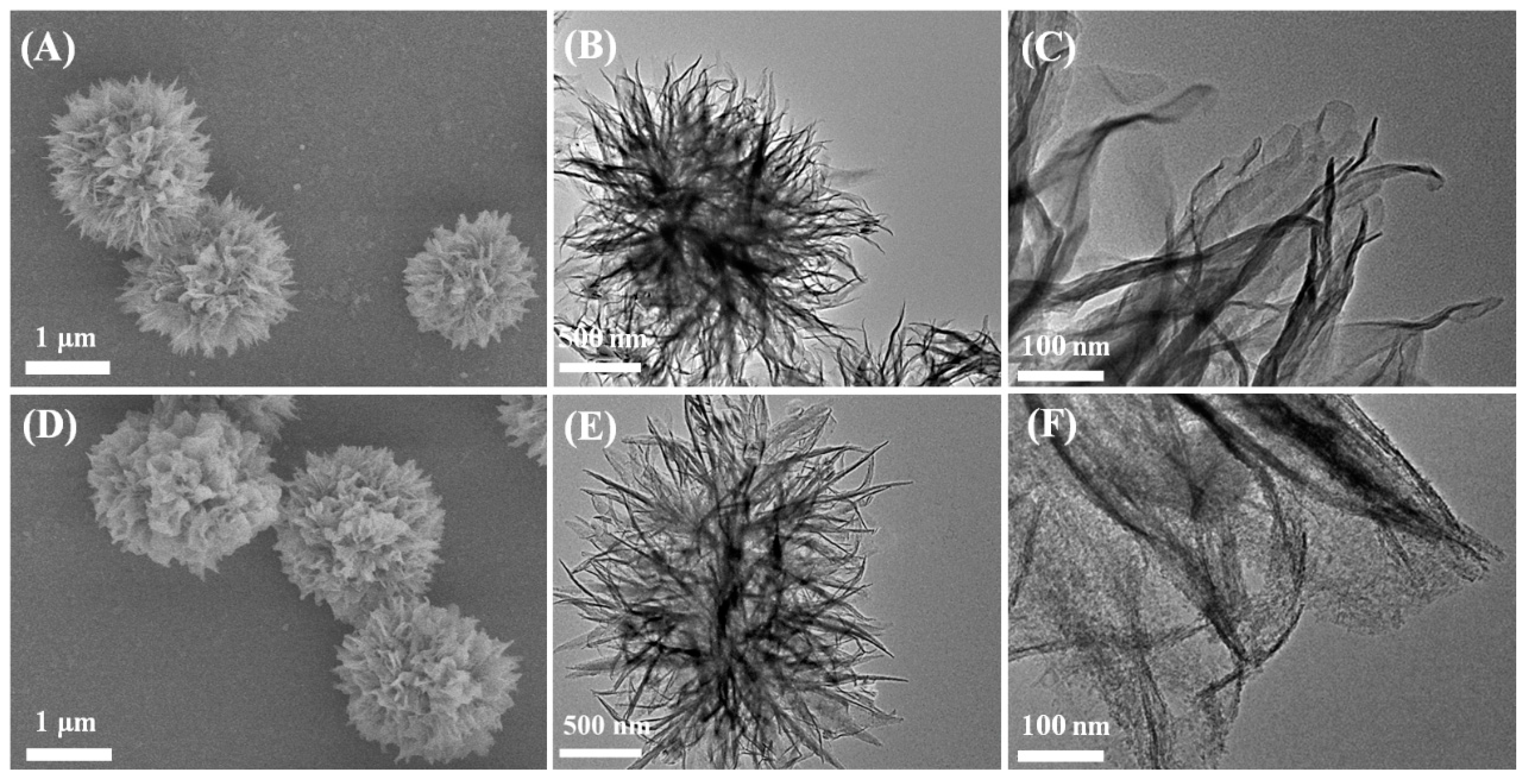 Biosensors 12 00935 g001 Biosensors 12 00935 g001