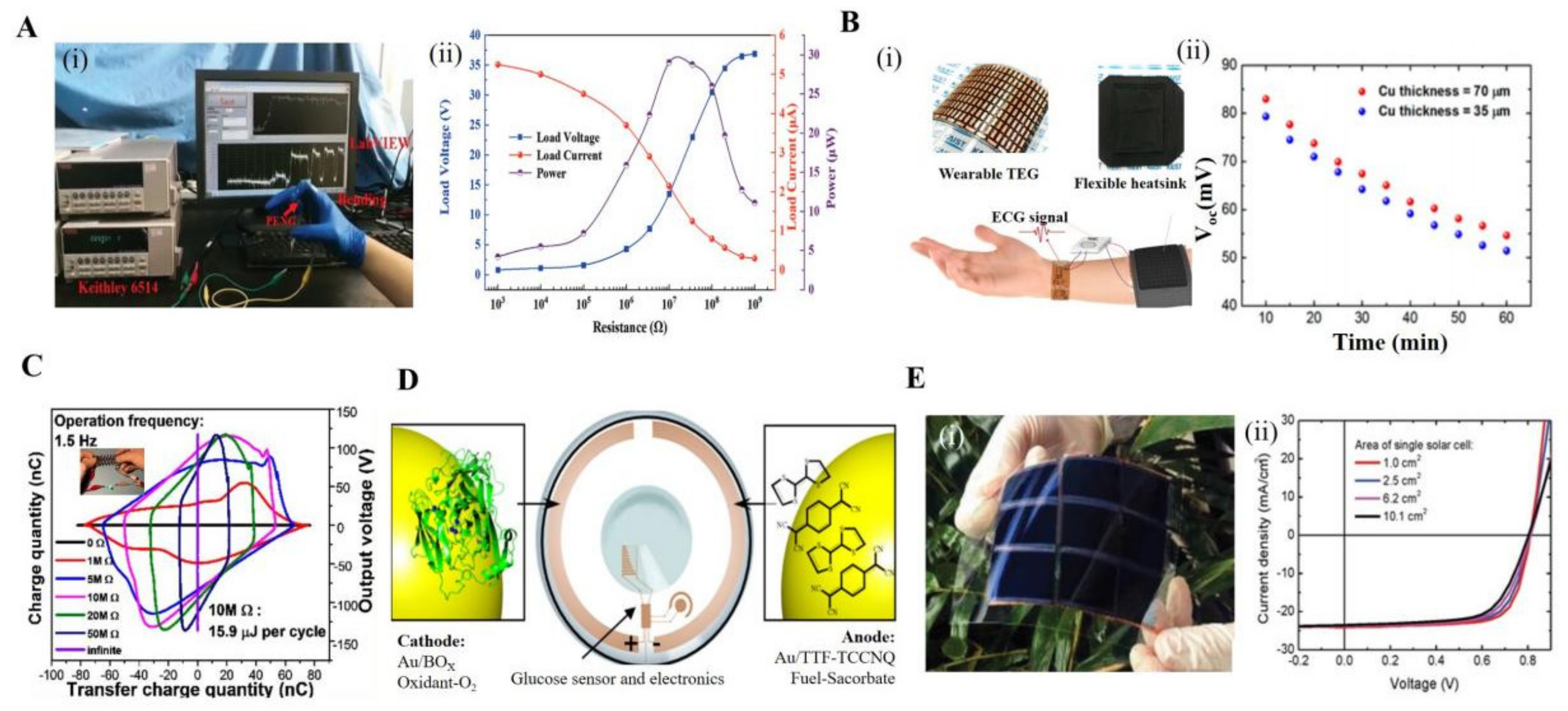 Biosensors 12 00936 g006