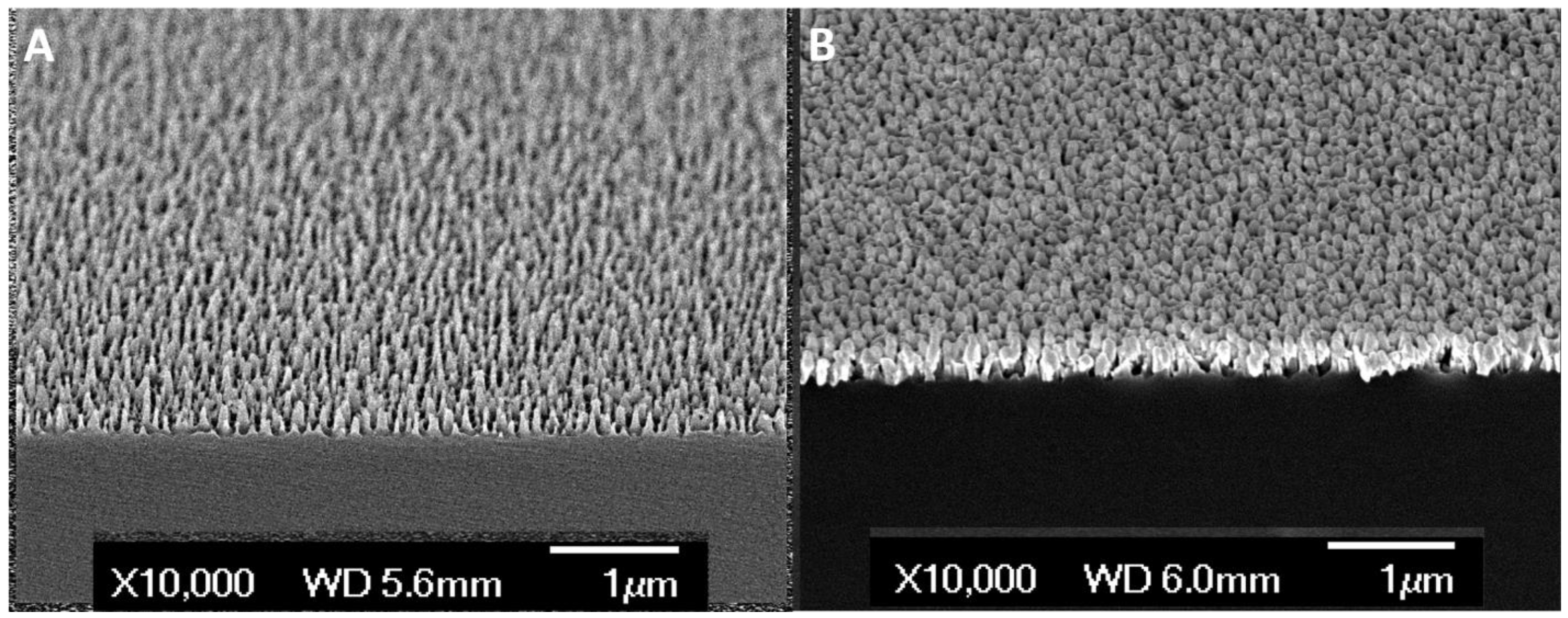 Biosensors 12 00940 g002 Biosensors 12 00940 g002