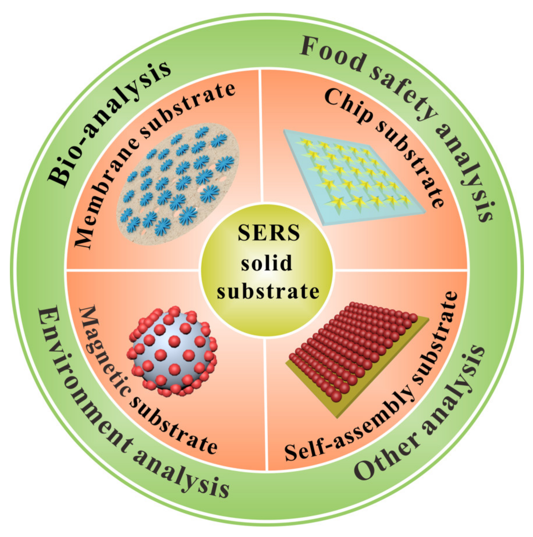Biosensors Free FullText Recent Progress on Solid Substrates for