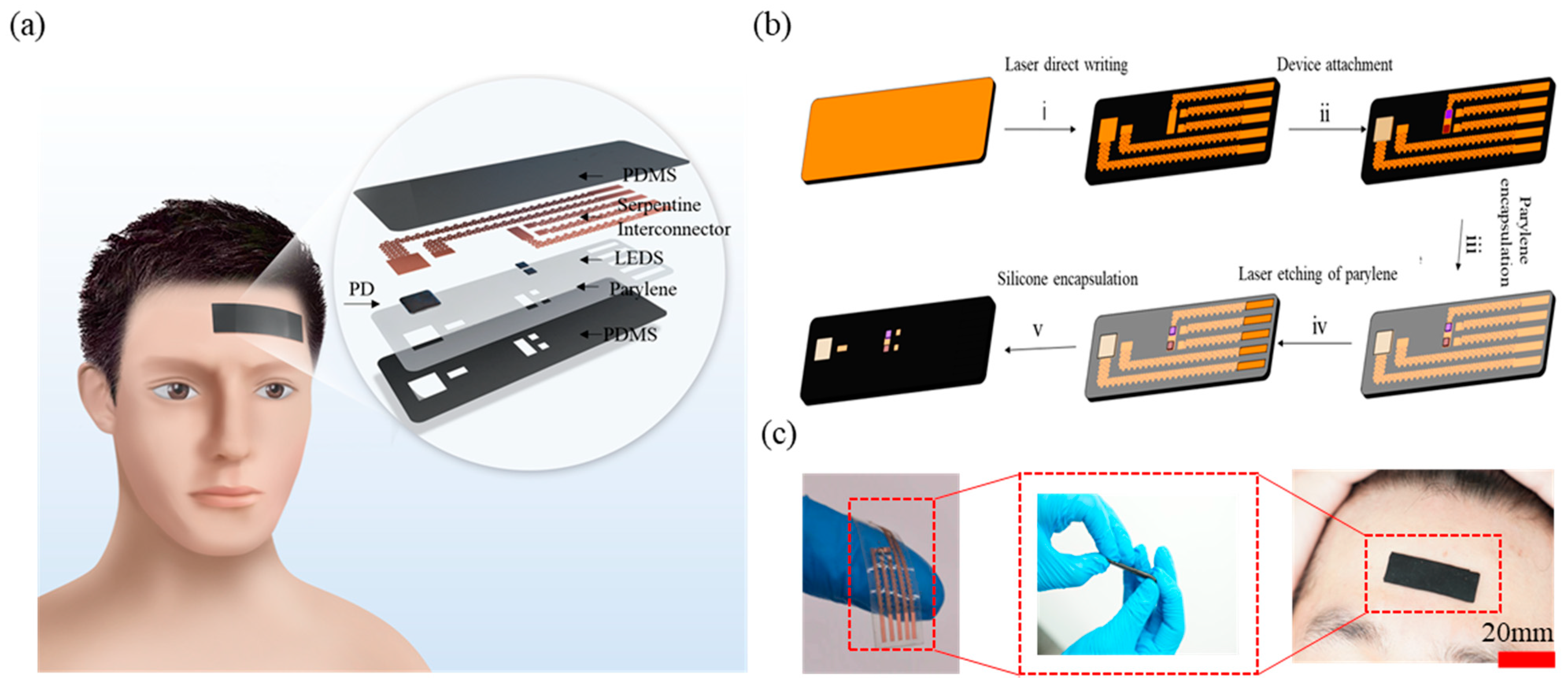 Biosensors 12 00944 g001