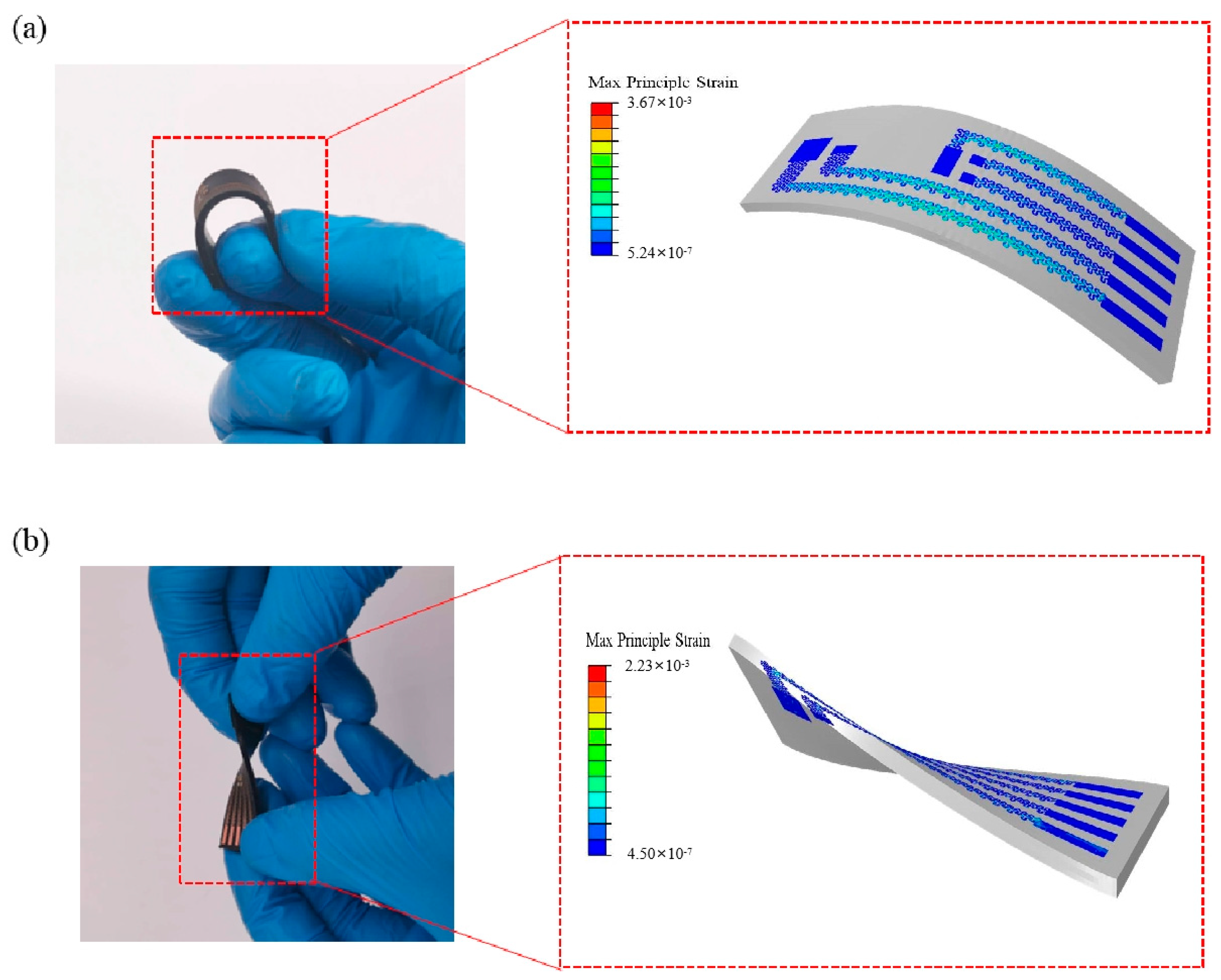 Biosensors 12 00944 g003