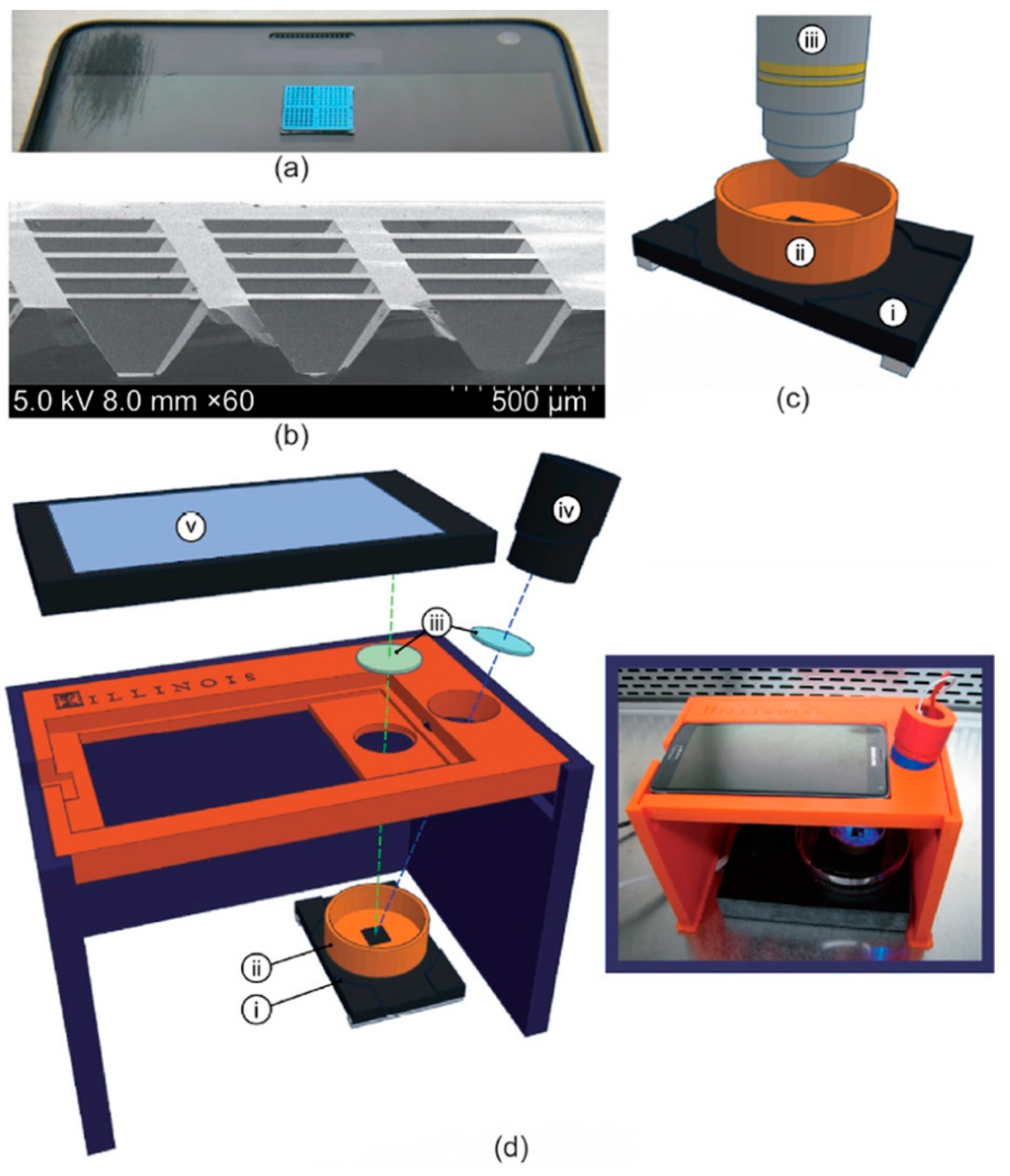 Biosensors 12 00949 g005 Biosensors 12 00949 g005