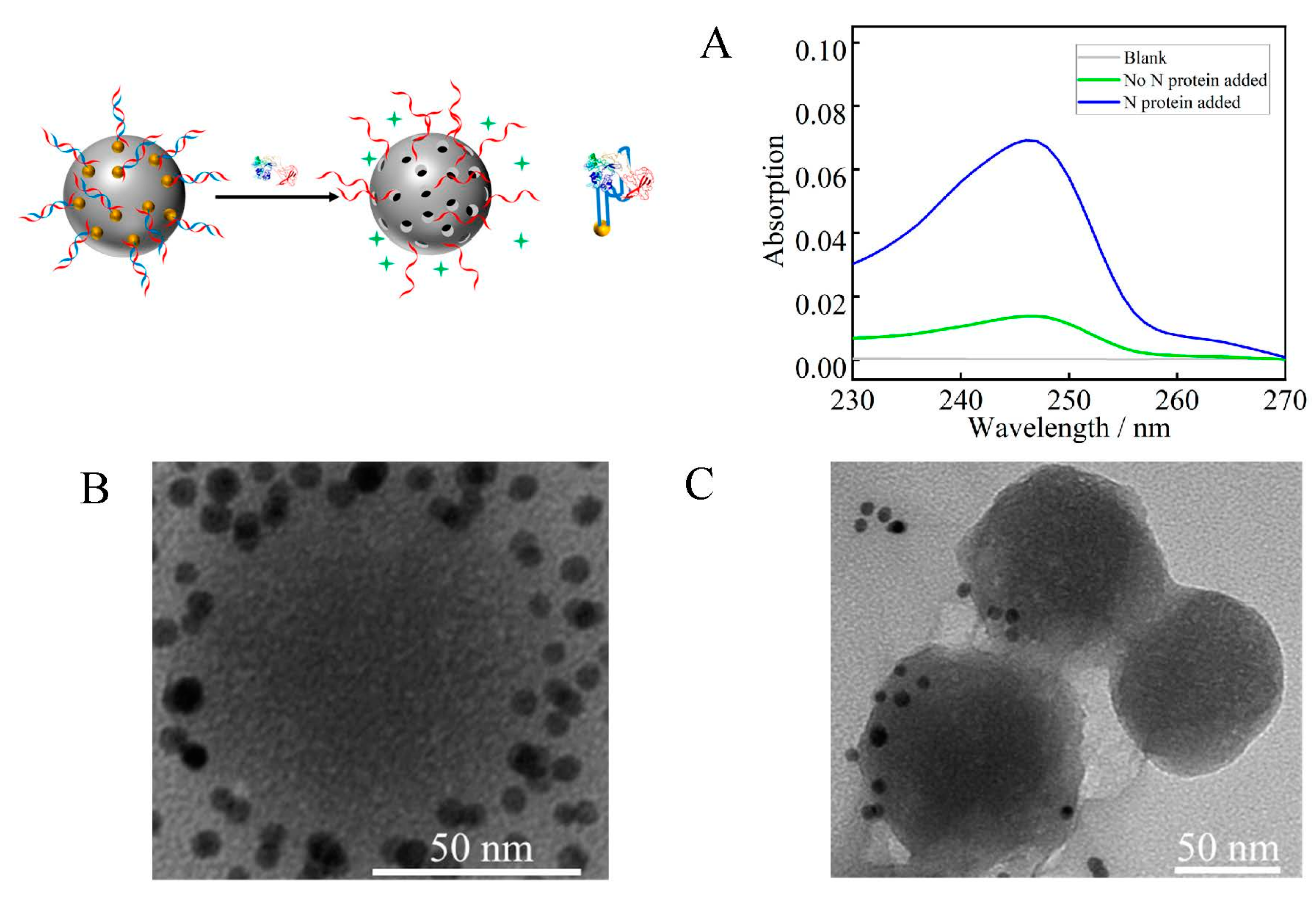 Biosensors 12 00950 g003 Biosensors 12 00950 g003