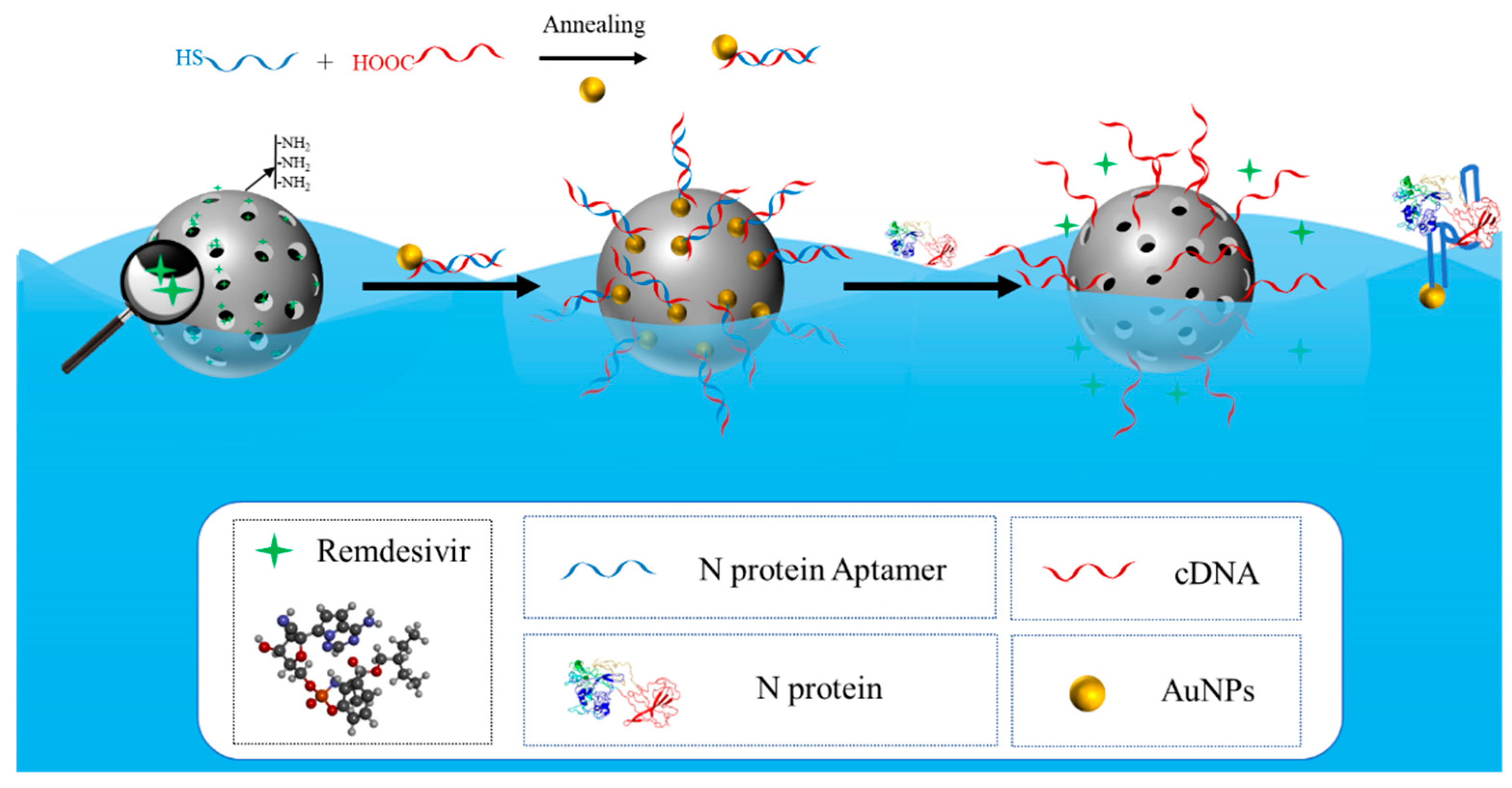 Biosensors 12 00950 sch001 Biosensors 12 00950 sch001