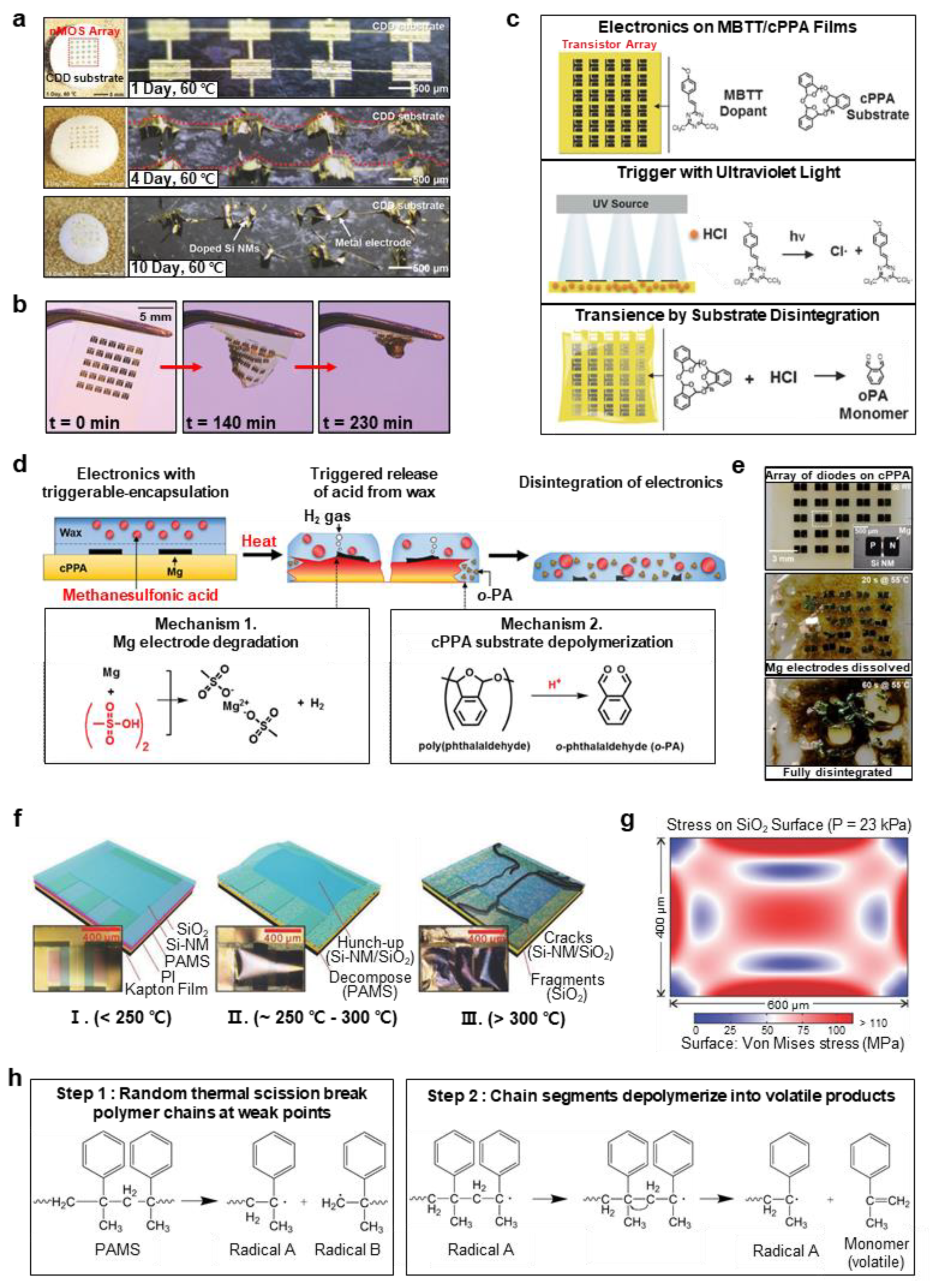 Biosensors 12 00952 g004 Biosensors 12 00952 g004