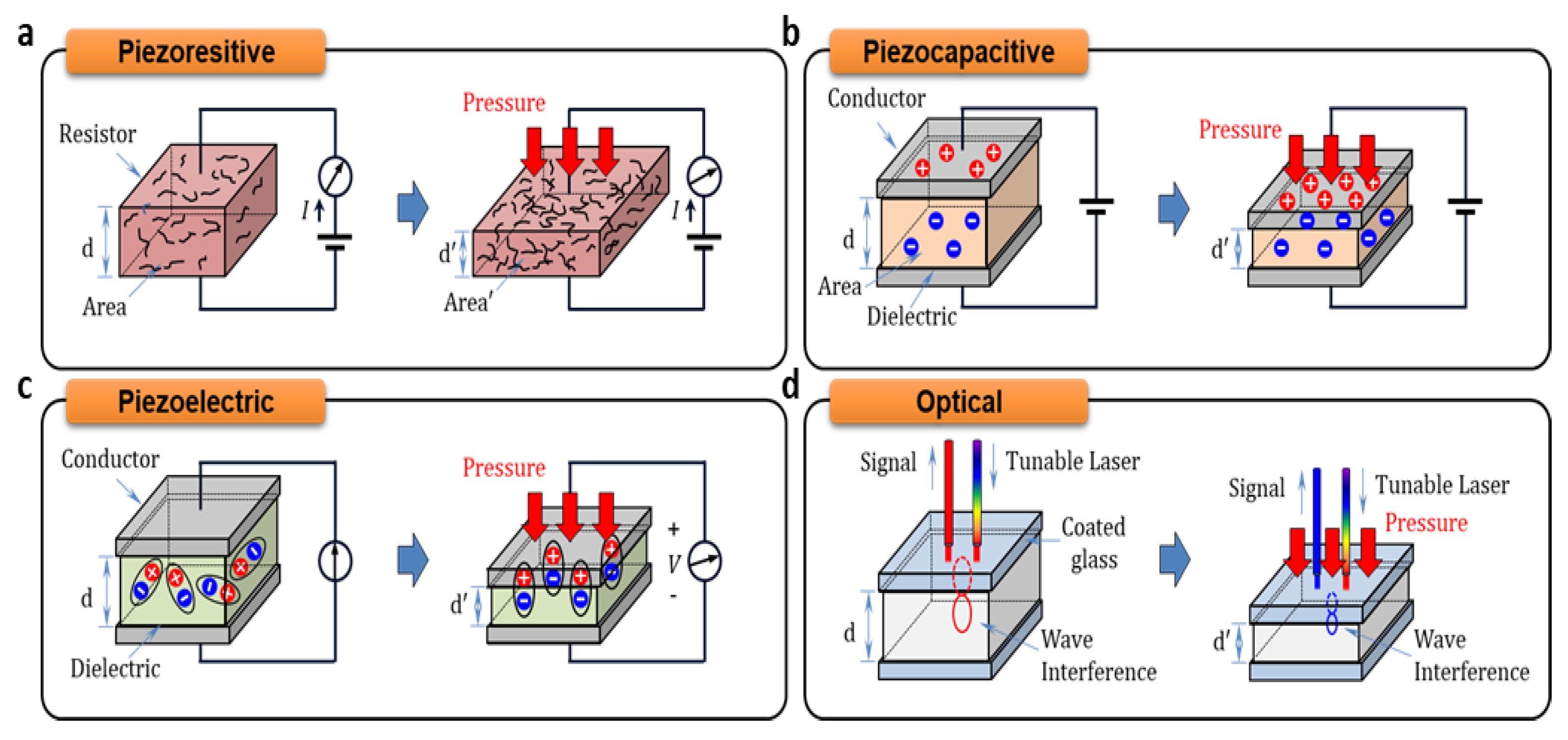 Biosensors 12 00952 g005 Biosensors 12 00952 g005