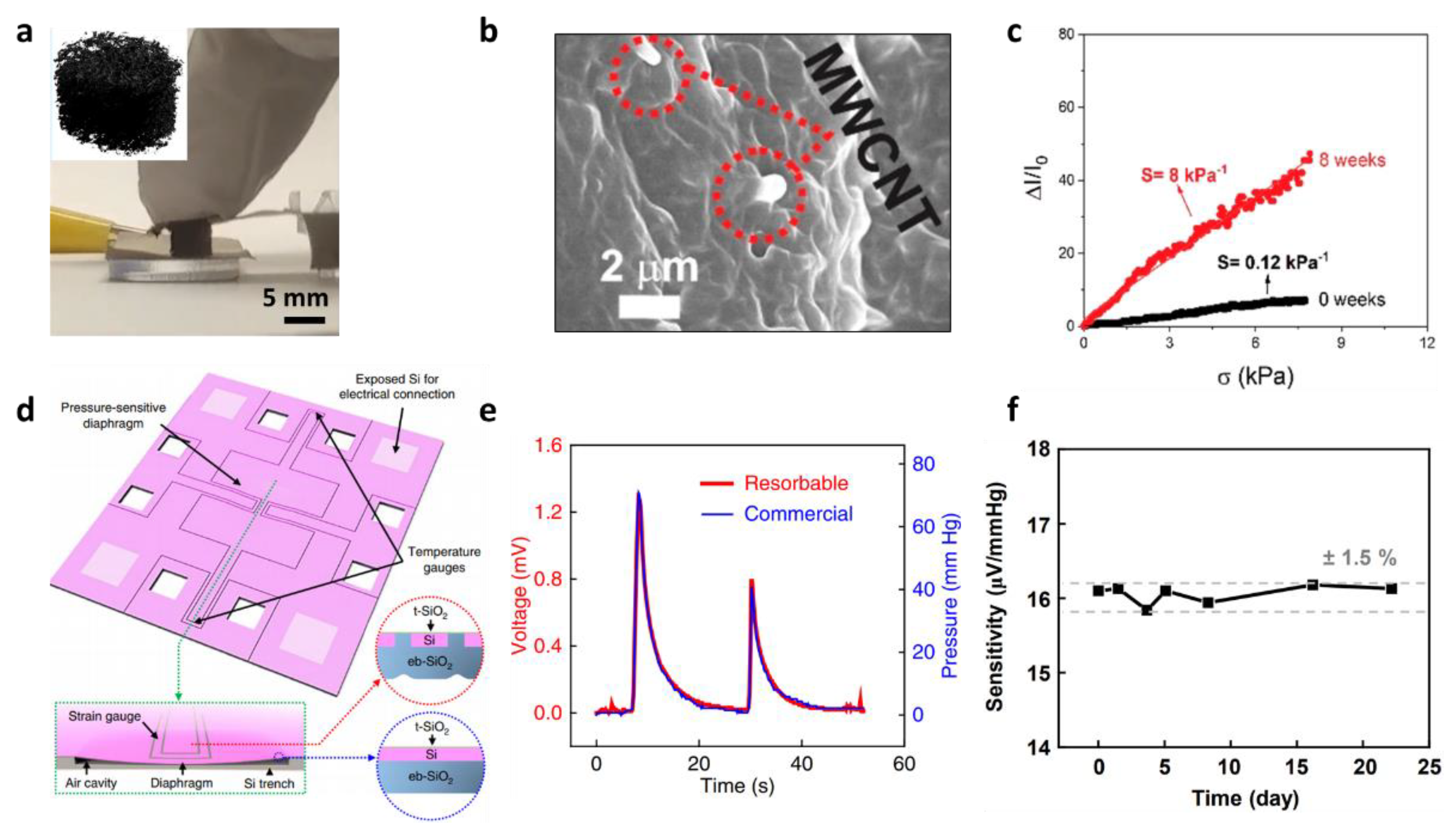 Biosensors 12 00952 g006 Biosensors 12 00952 g006