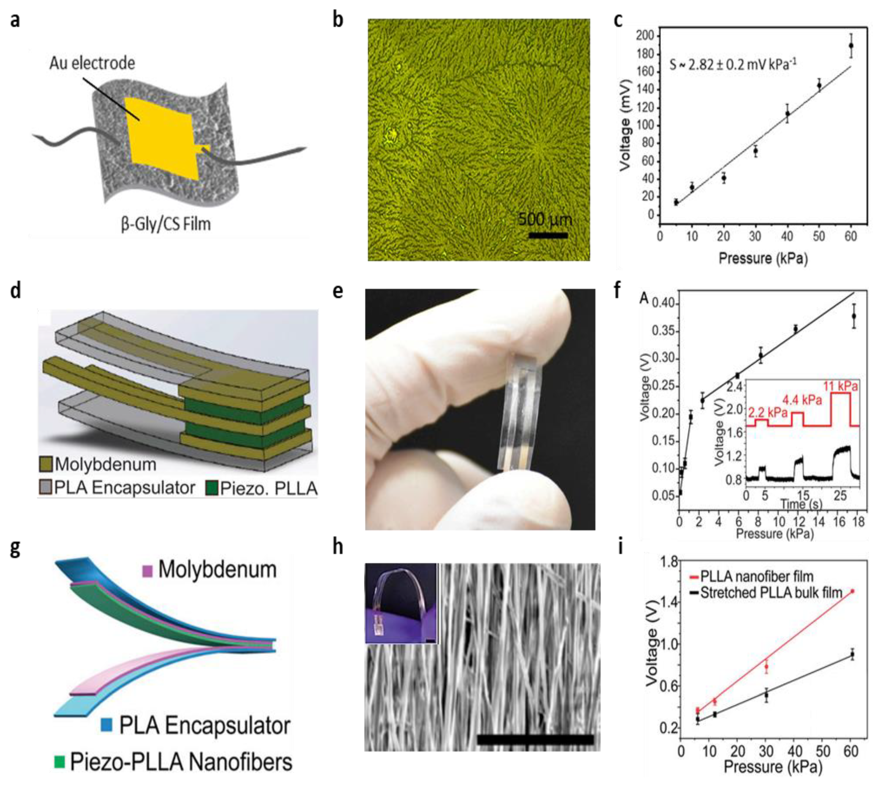 Biosensors 12 00952 g008 Biosensors 12 00952 g008