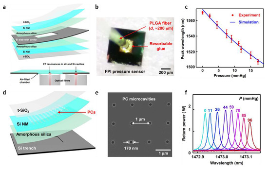 Biosensors Free FullText Micro/NanoStructured Biodegradable