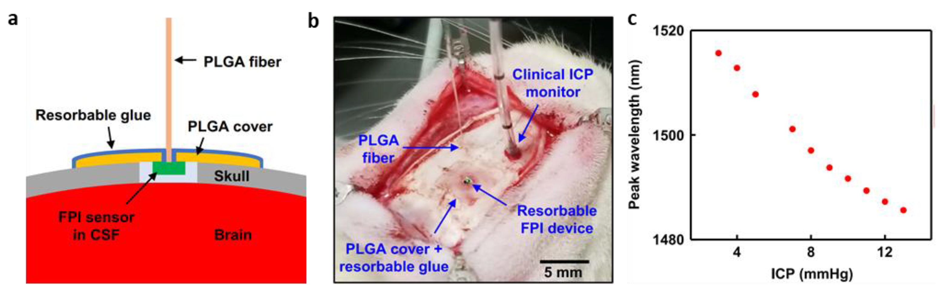 Biosensors 12 00952 g010 Biosensors 12 00952 g010