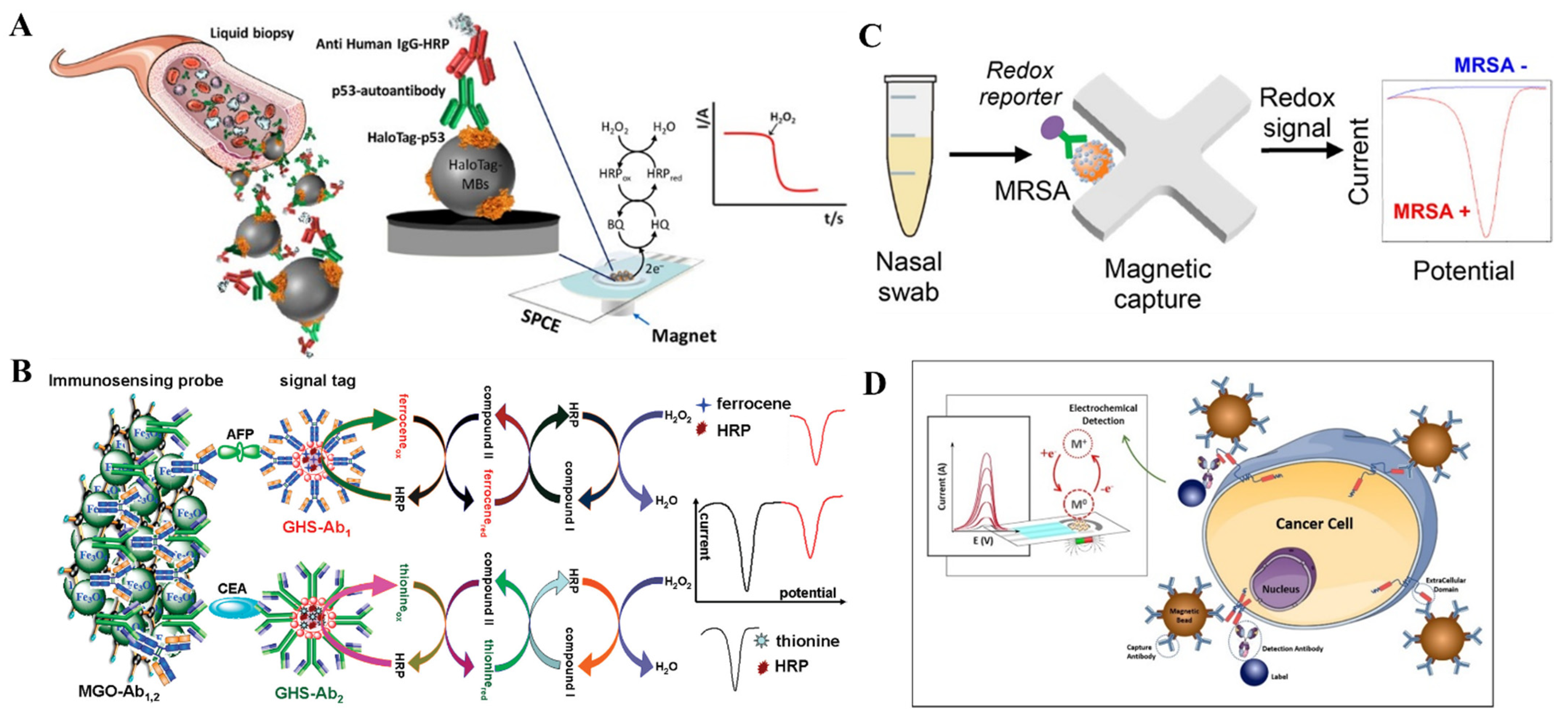 Immobilization of the IgG and Prostate Specific Antigen (PSA) on SU-8