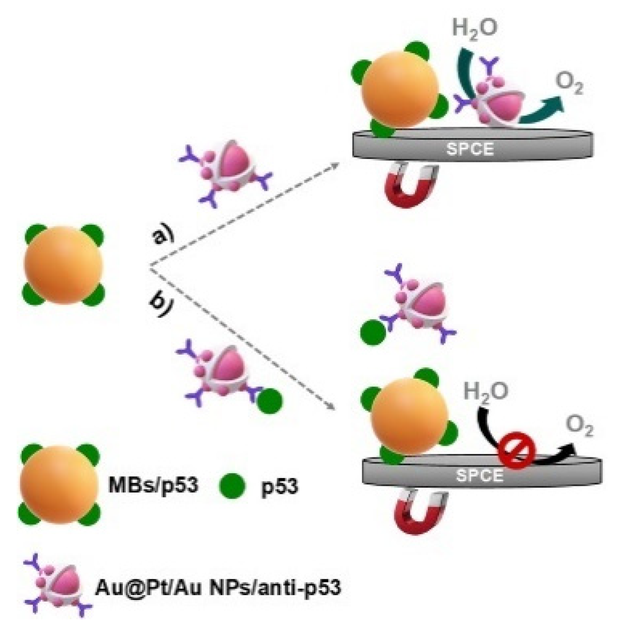 Biosensors 12 00954 g002