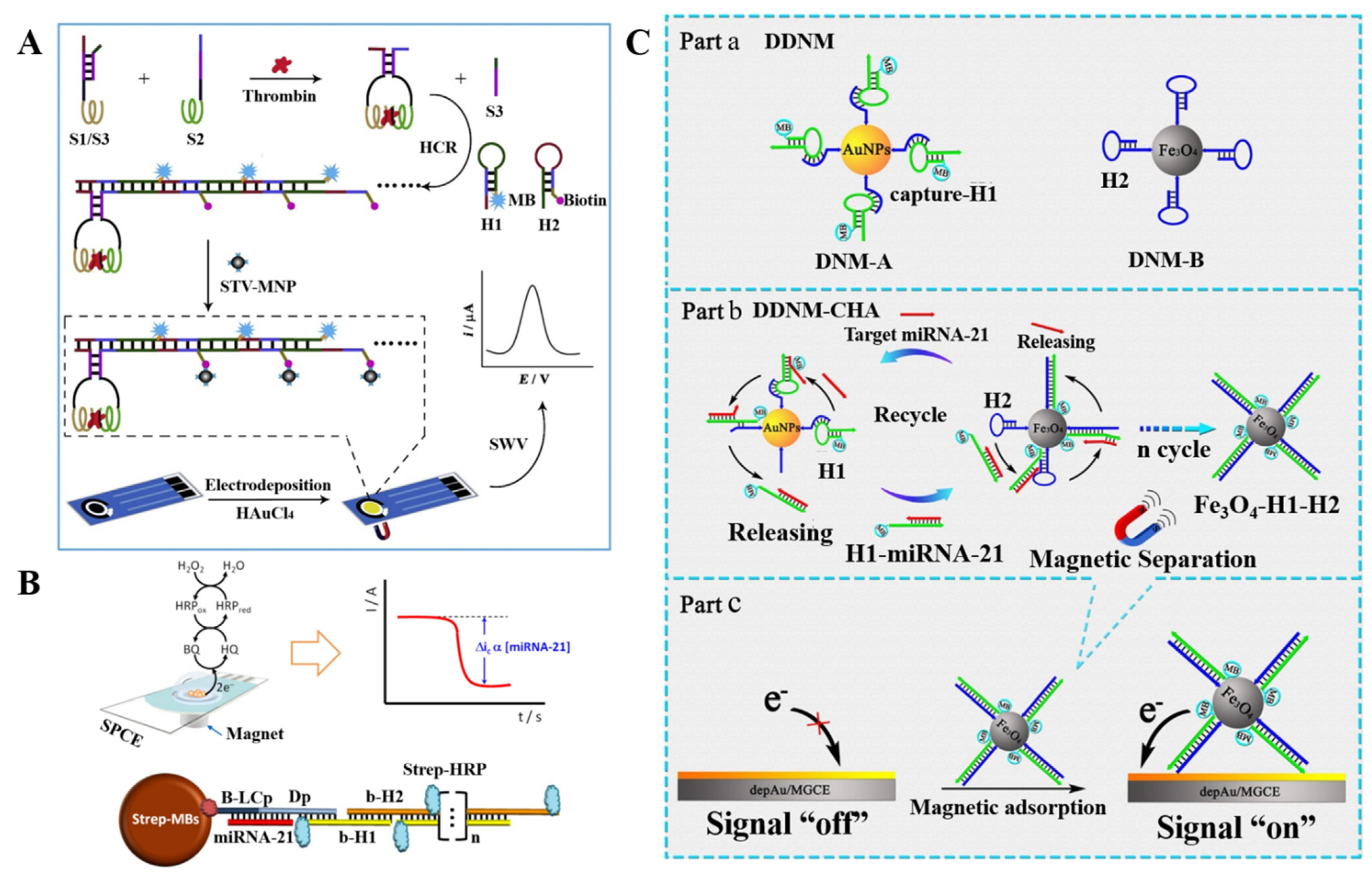 Biosensors 12 00954 g007