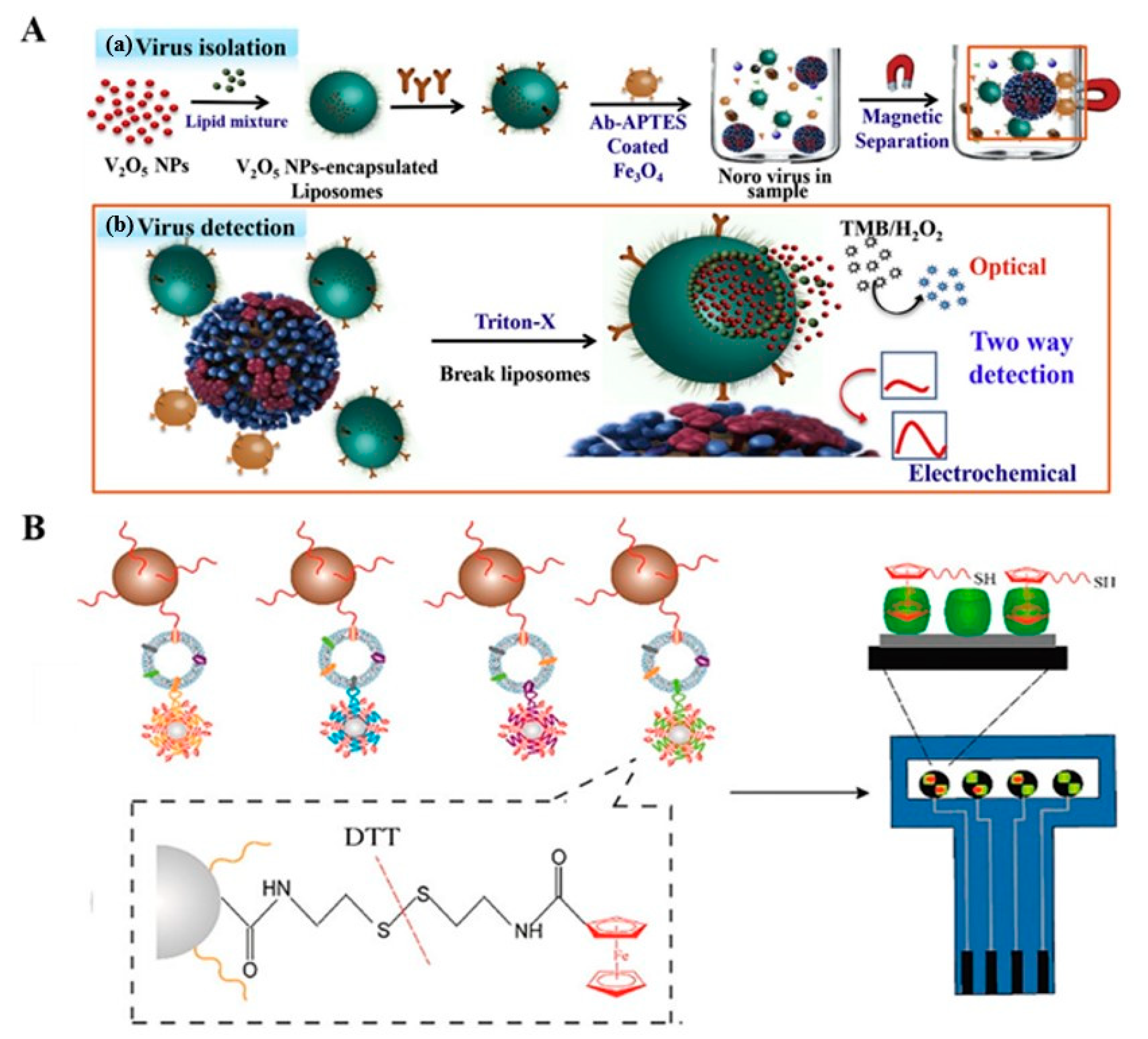 Biosensors 12 00954 g011