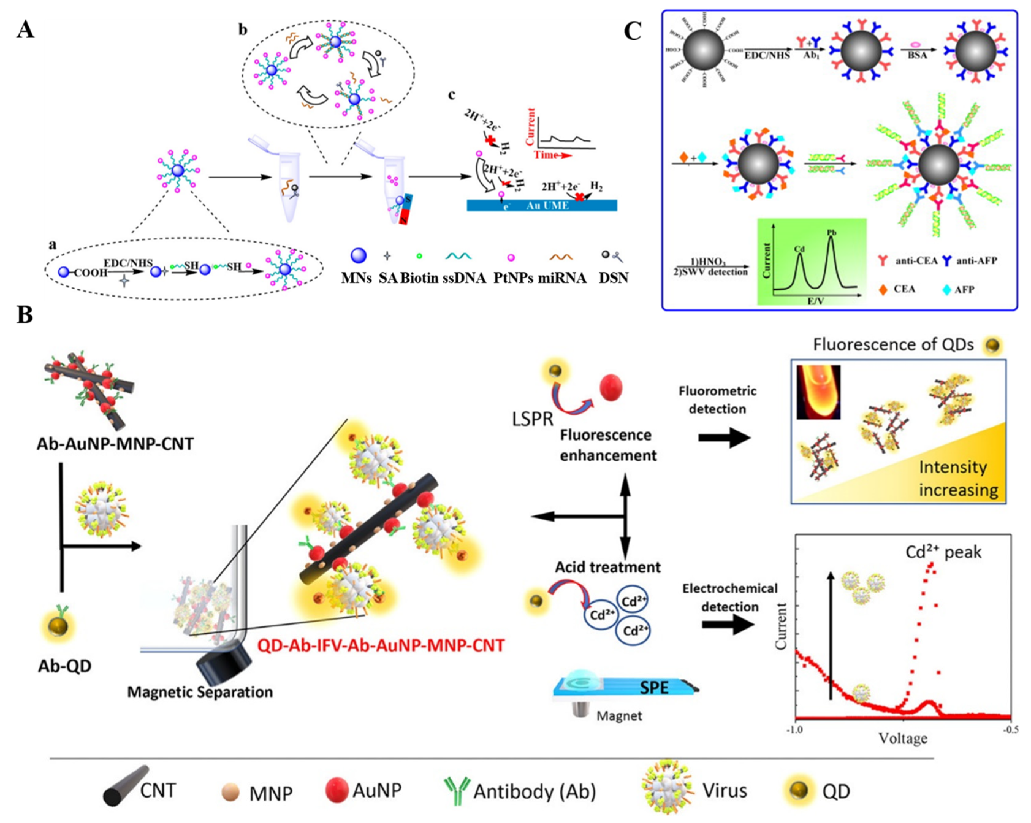 Biosensors 12 00954 g012