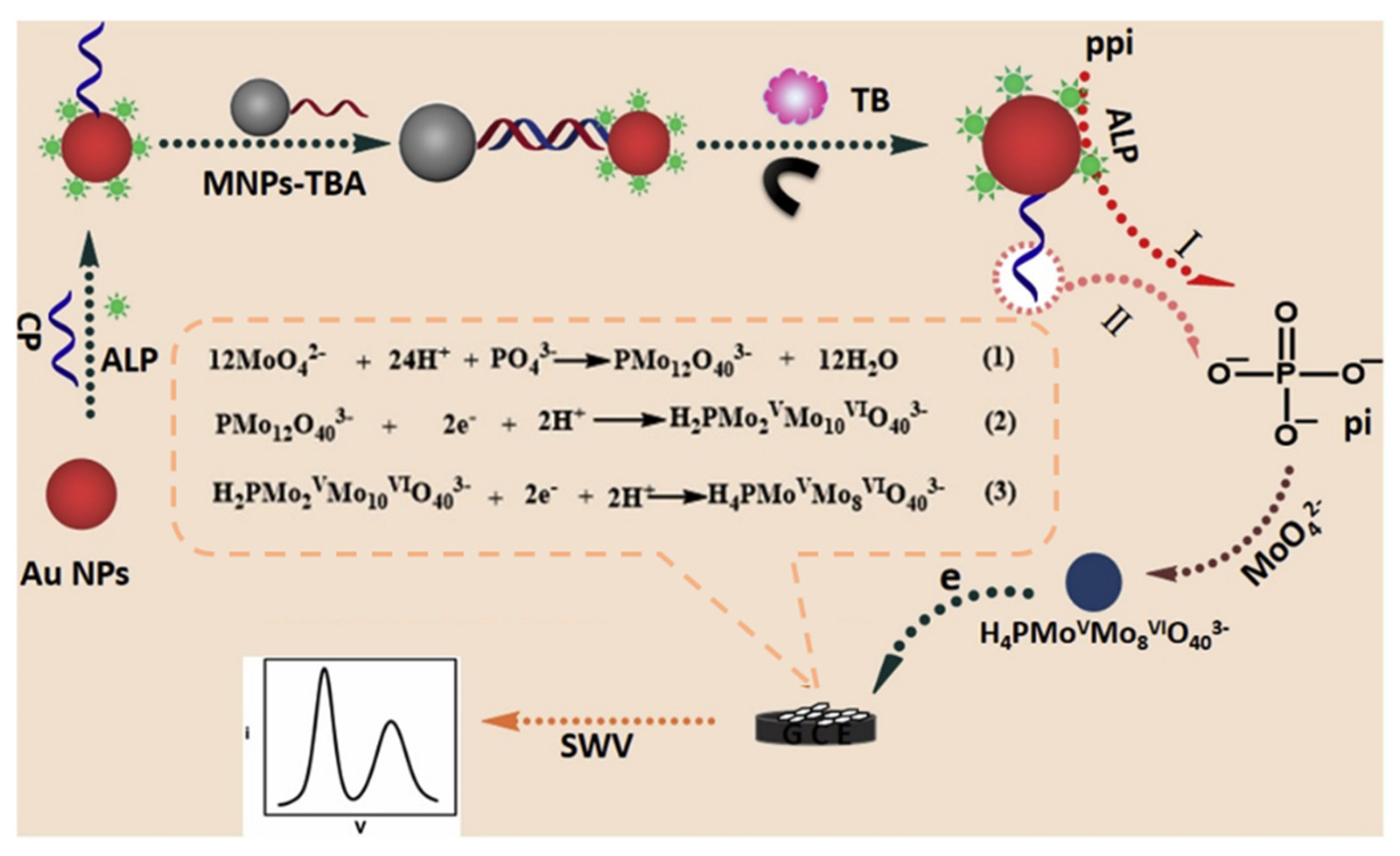 Biosensors 12 00954 g013