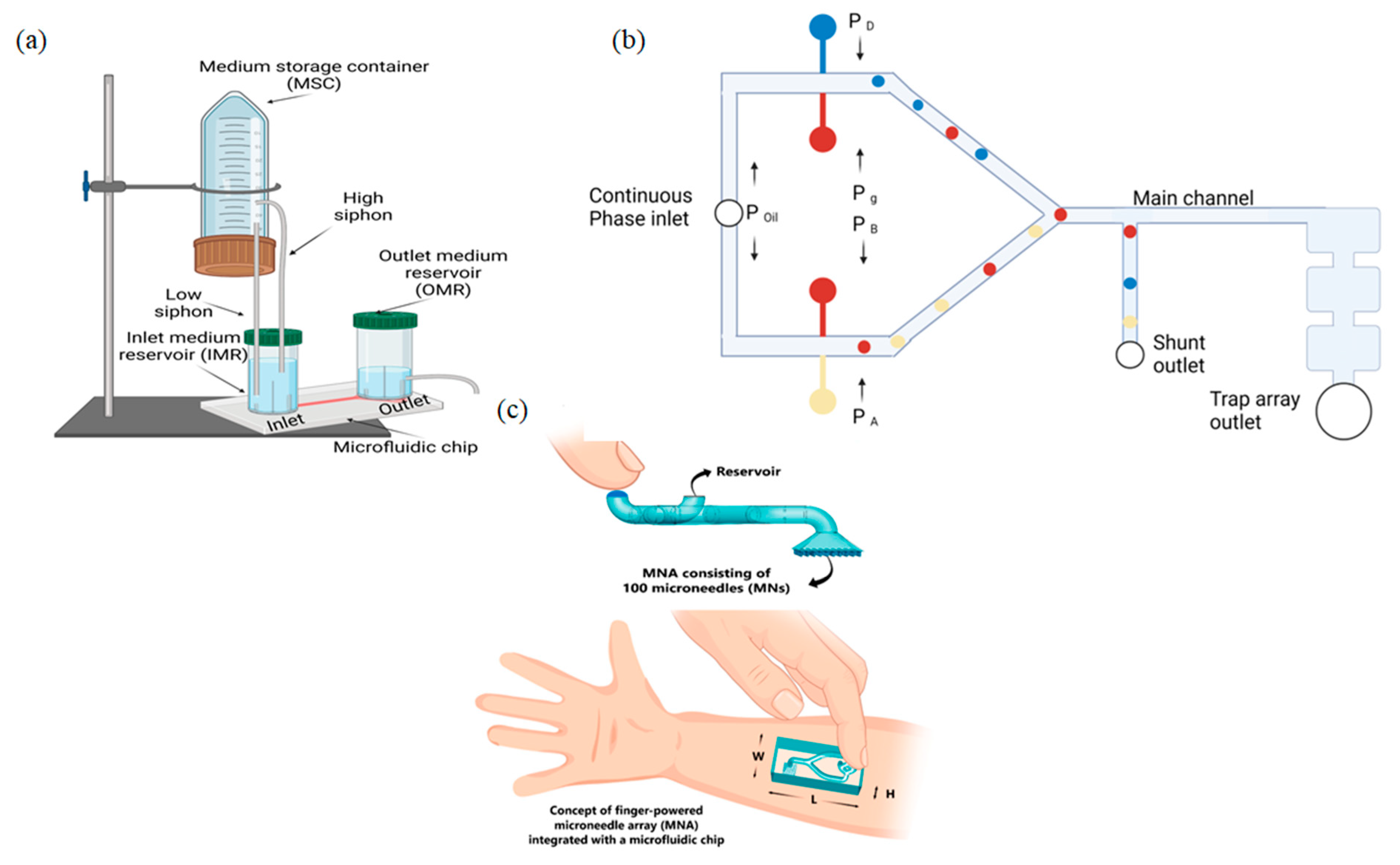 Biosensors 12 00956 g003 Biosensors 12 00956 g003