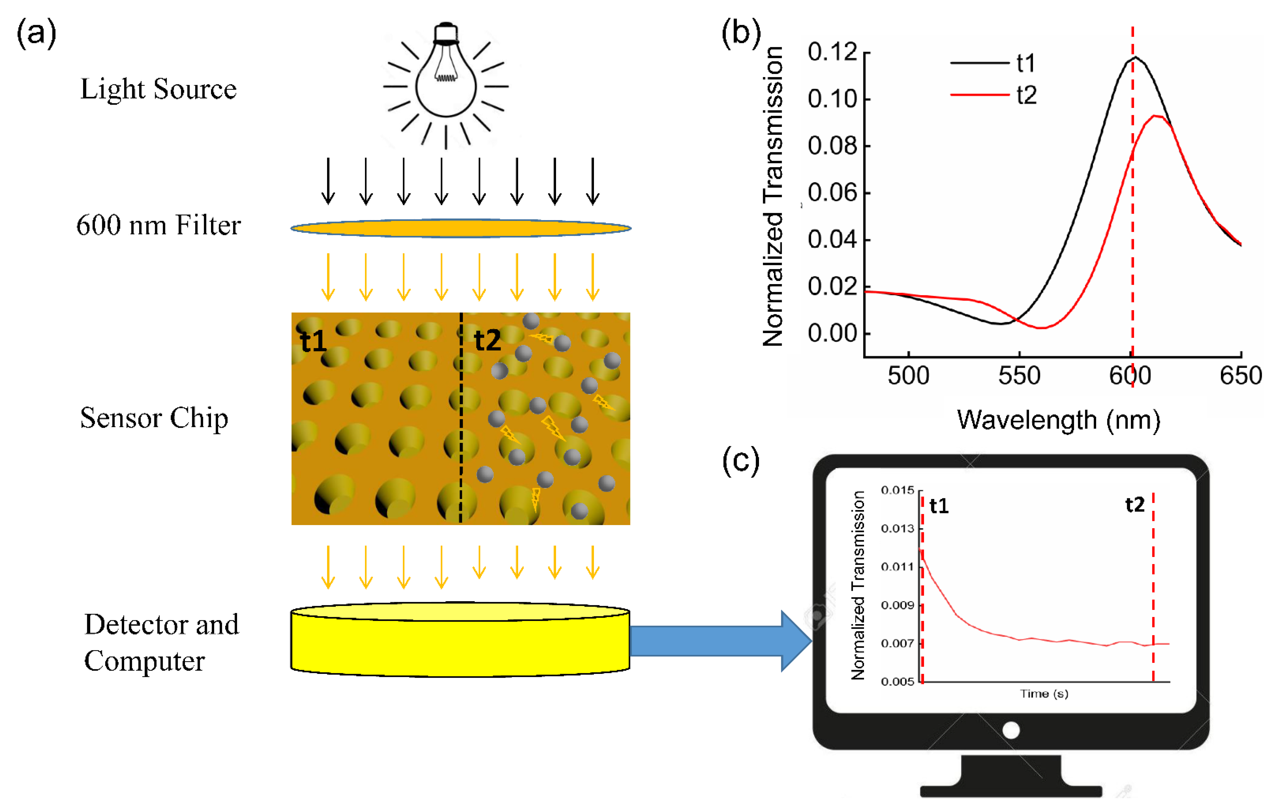 Biosensors 12 00958 g001 Biosensors 12 00958 g001