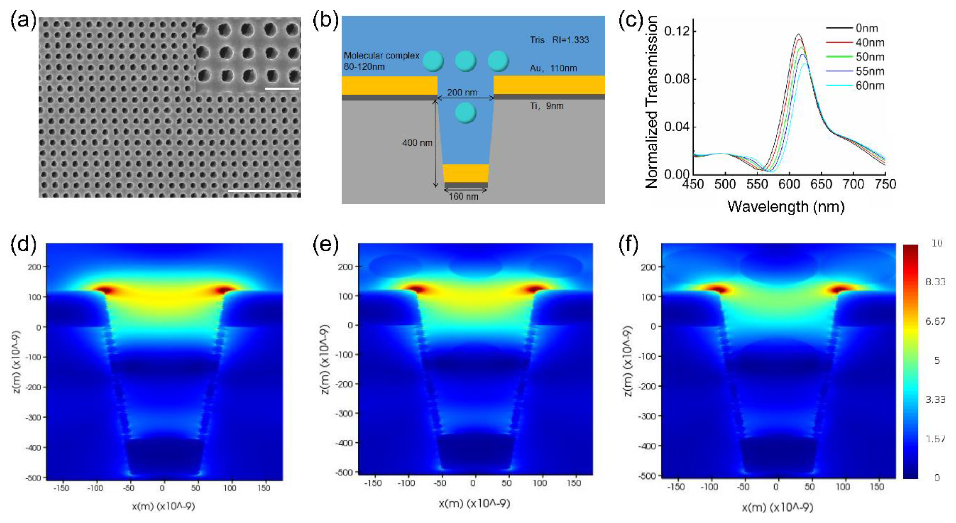 Biosensors 12 00958 g002 Biosensors 12 00958 g002