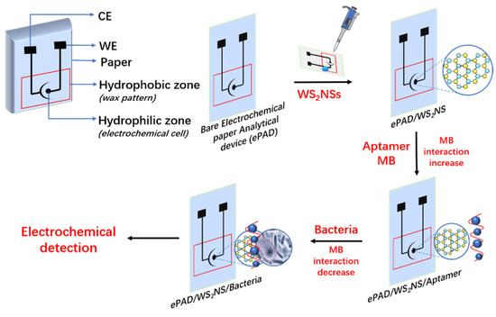 Rapid and accurate electrochemical sensor for food allergen detection in  complex foods