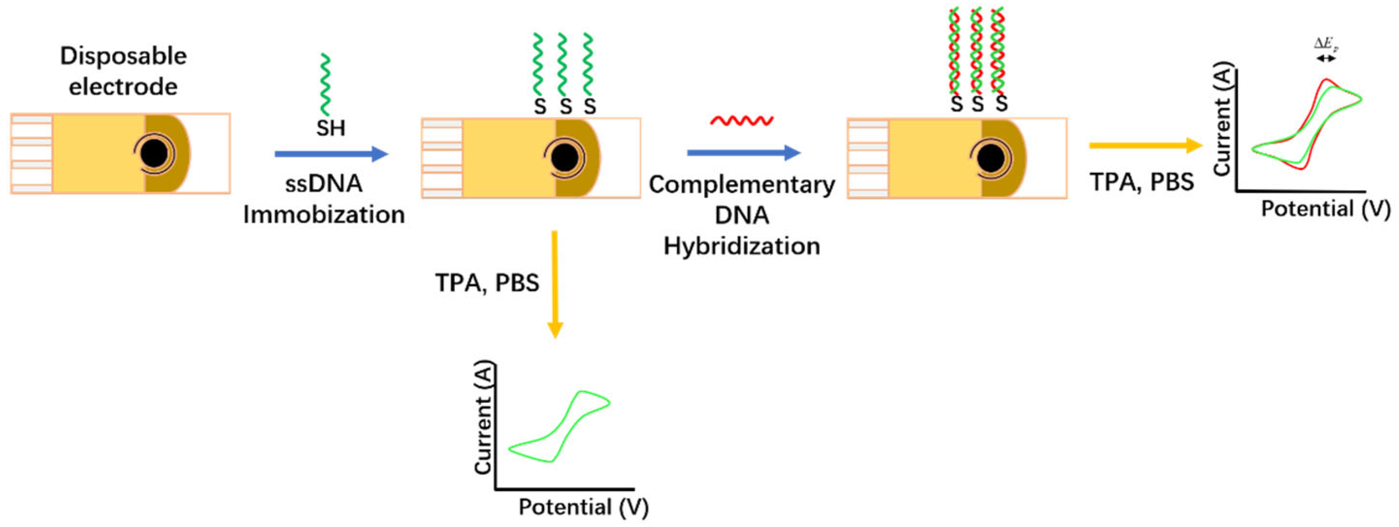 Biosensors 12 00959 g009