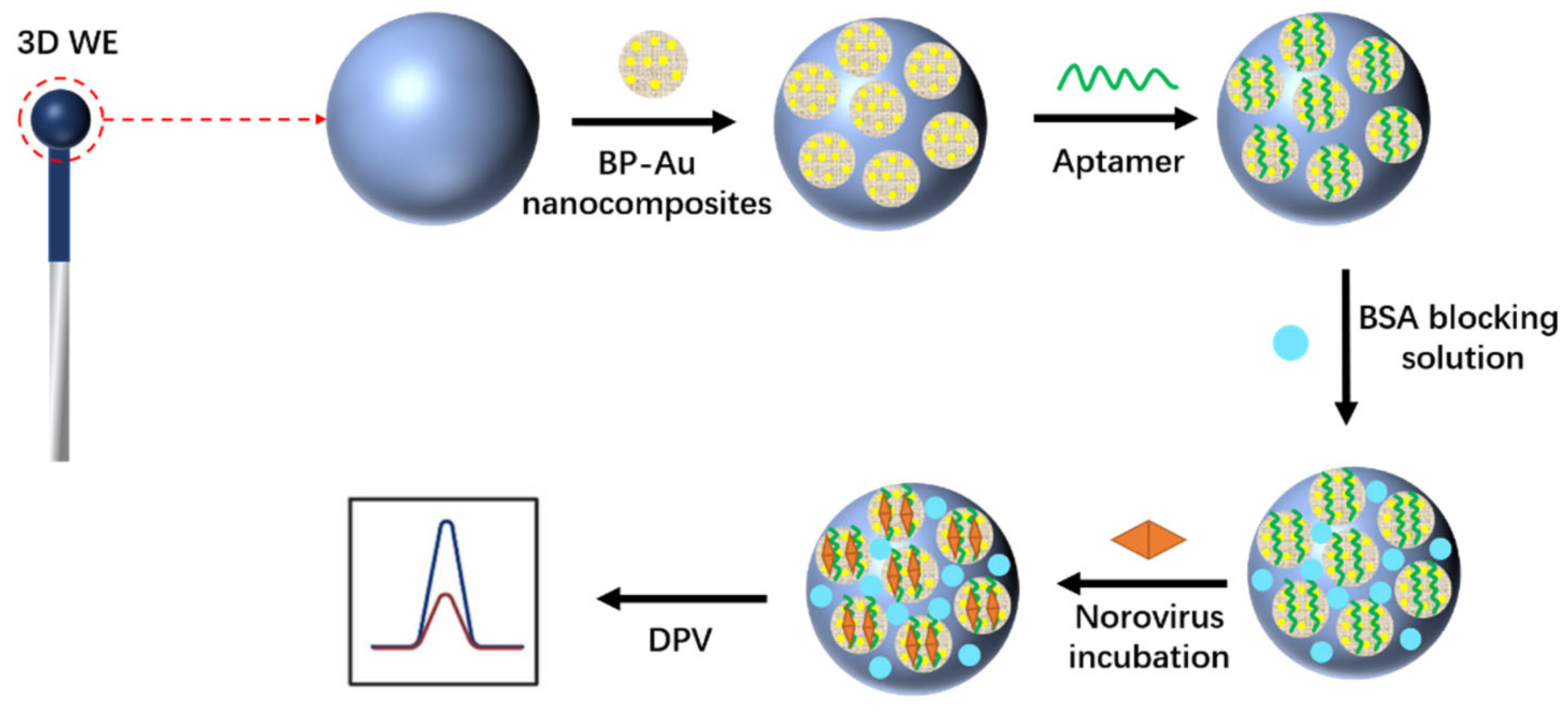 Biosensors 12 00959 g010