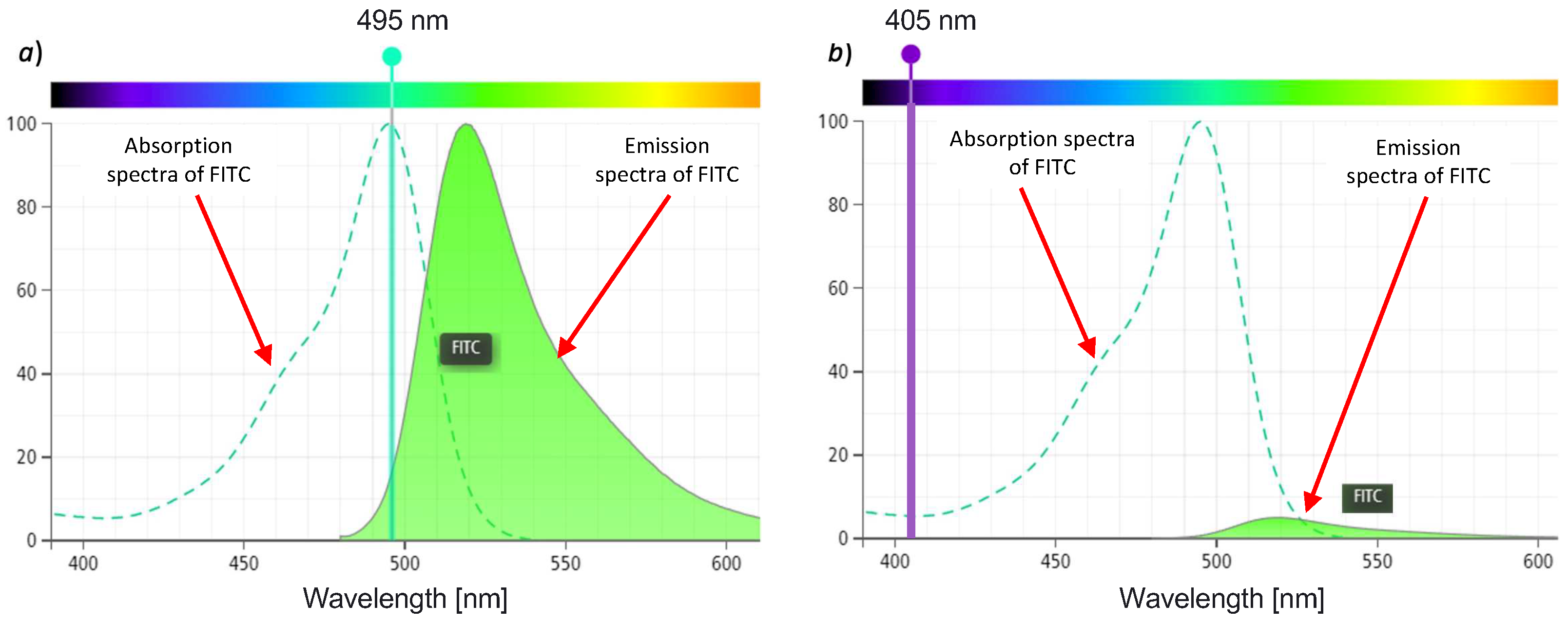 Biosensors 12 00960 g006