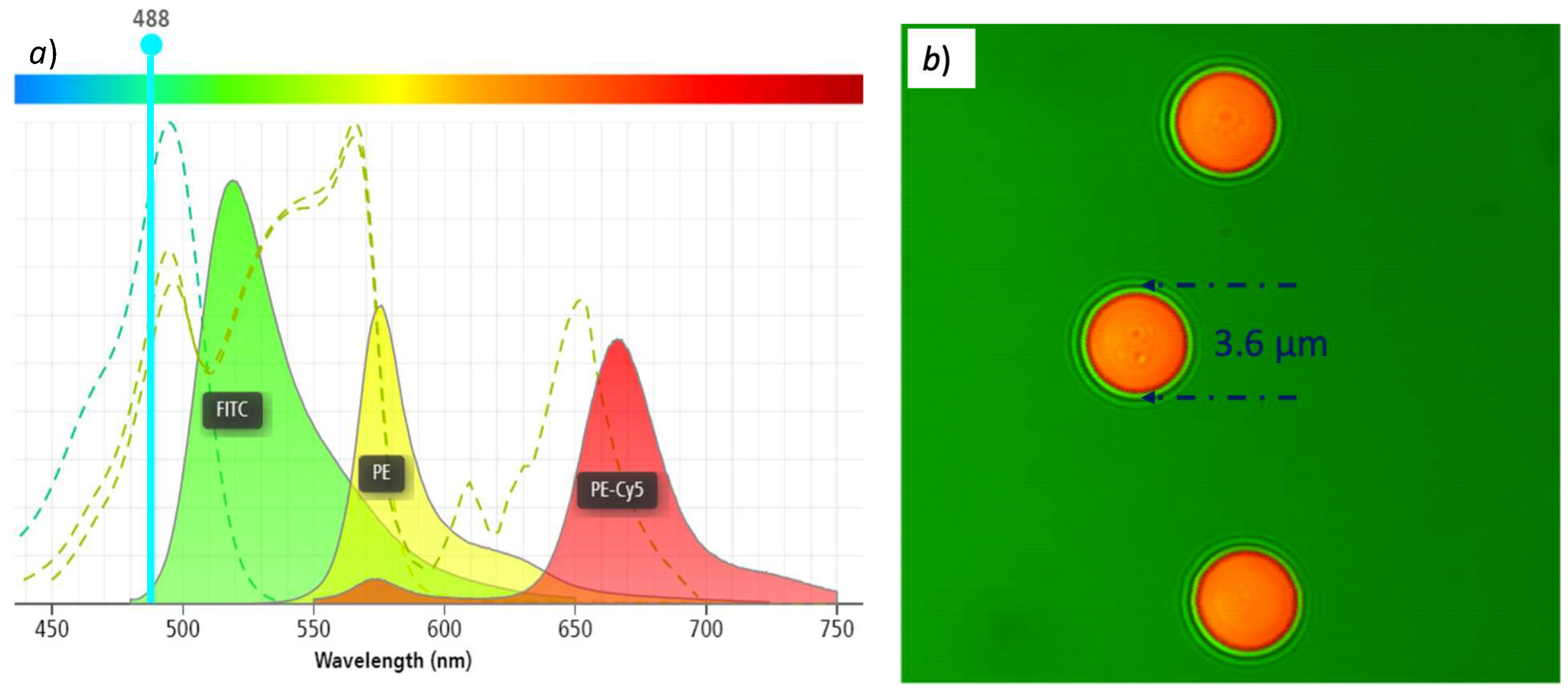 Biosensors 12 00960 g010