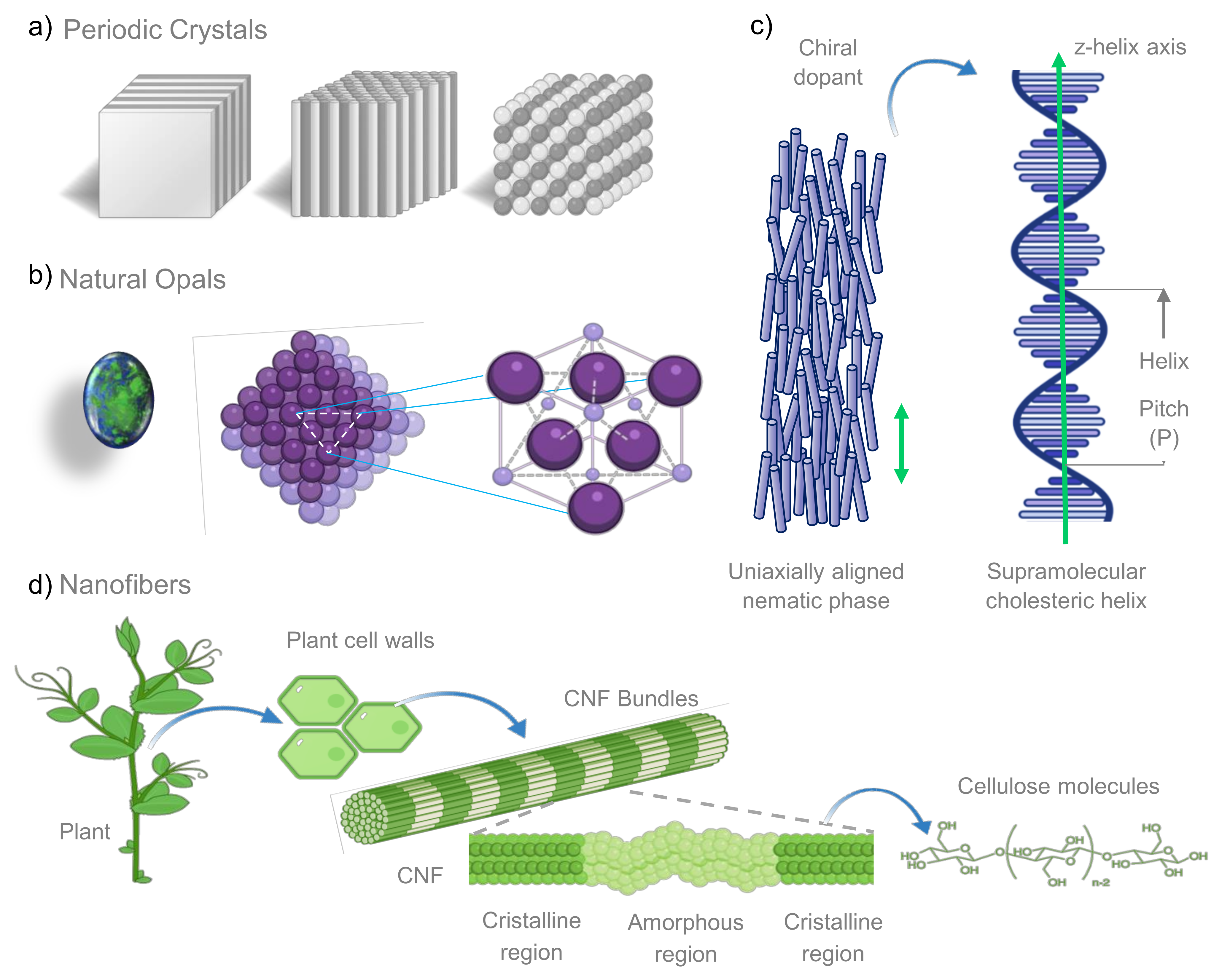 Biosensors 12 00962 g001 Biosensors 12 00962 g001