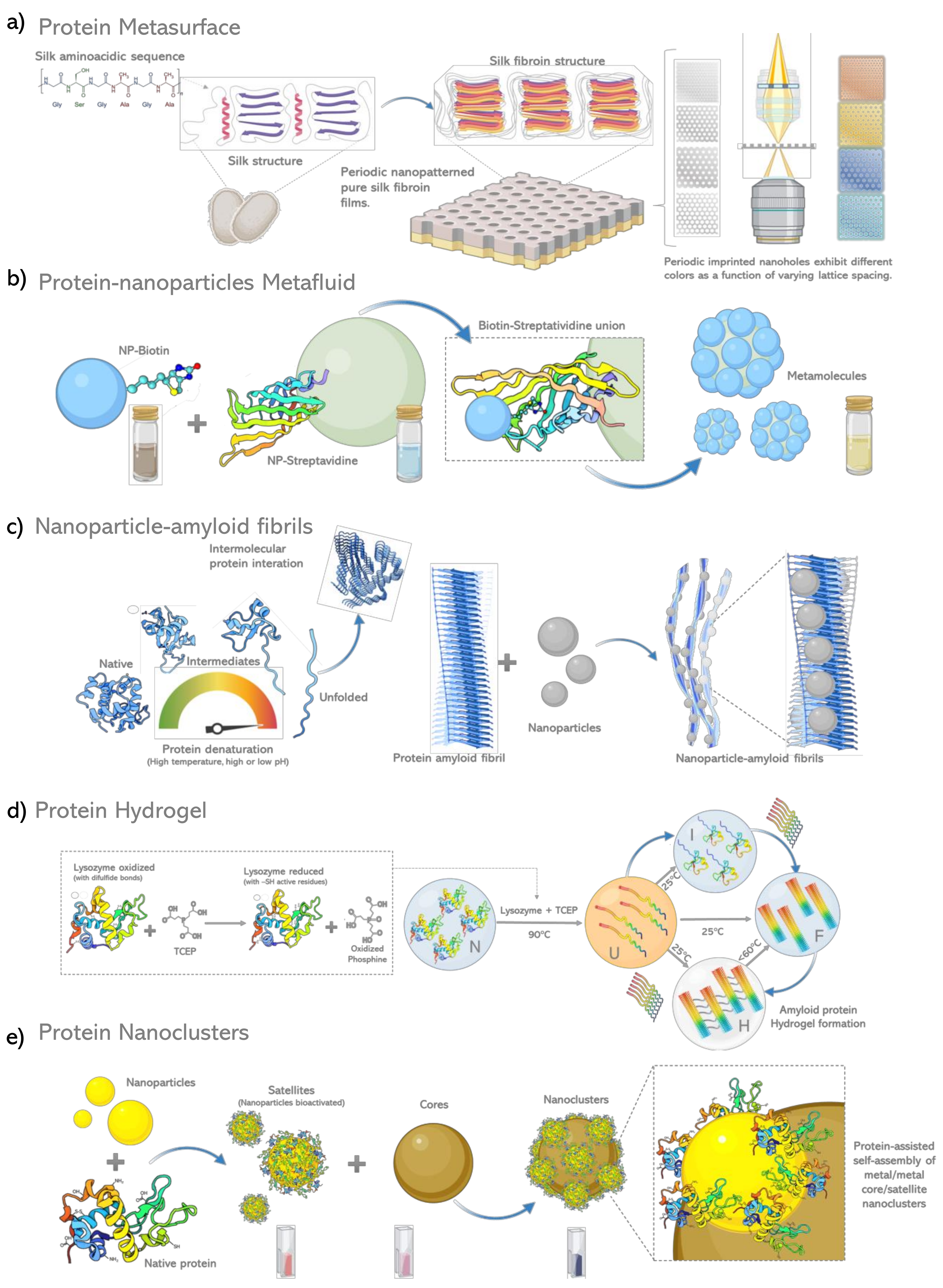 Biosensors 12 00962 g003 Biosensors 12 00962 g003