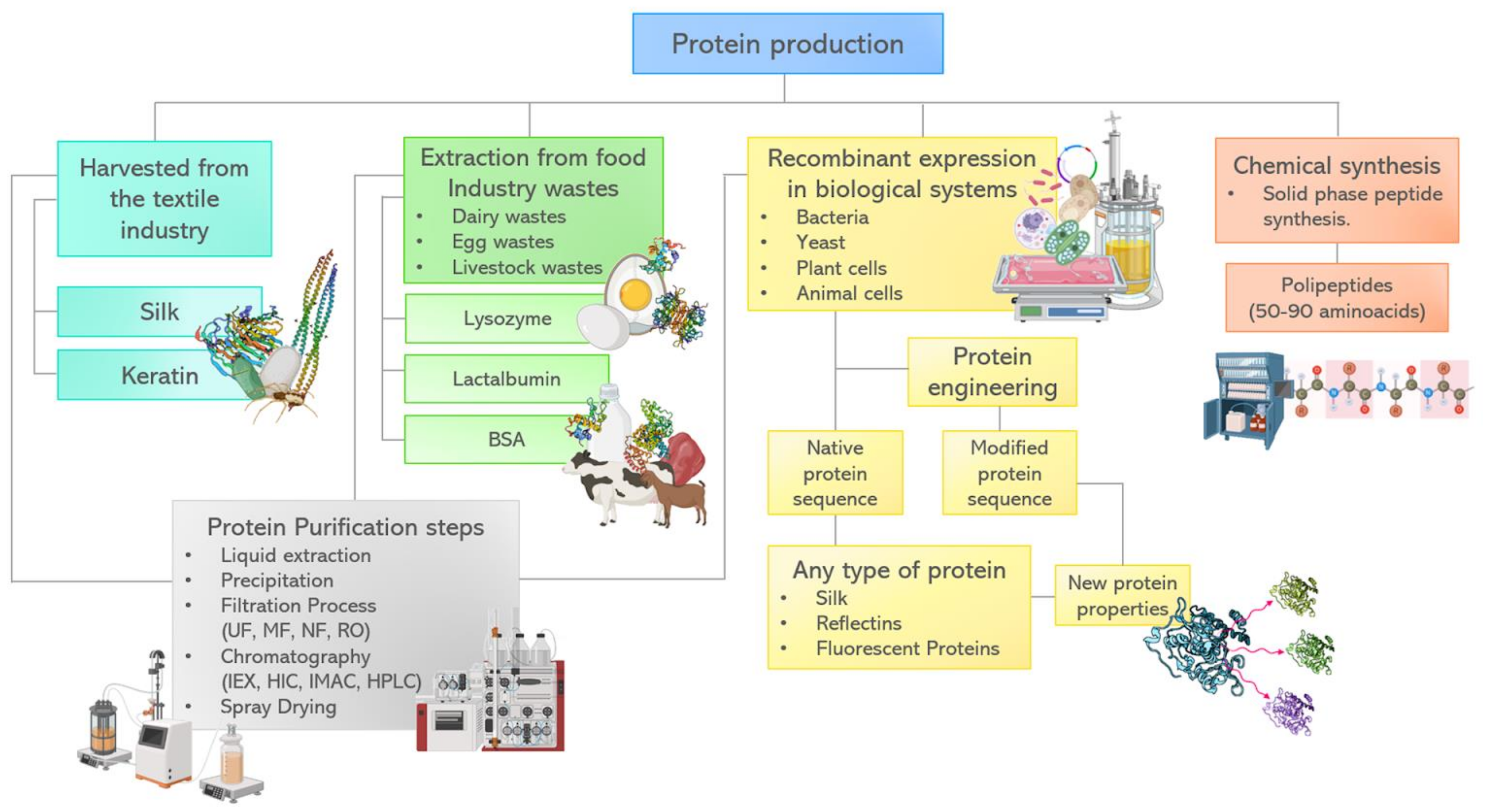 Biosensors 12 00962 g004 Biosensors 12 00962 g004