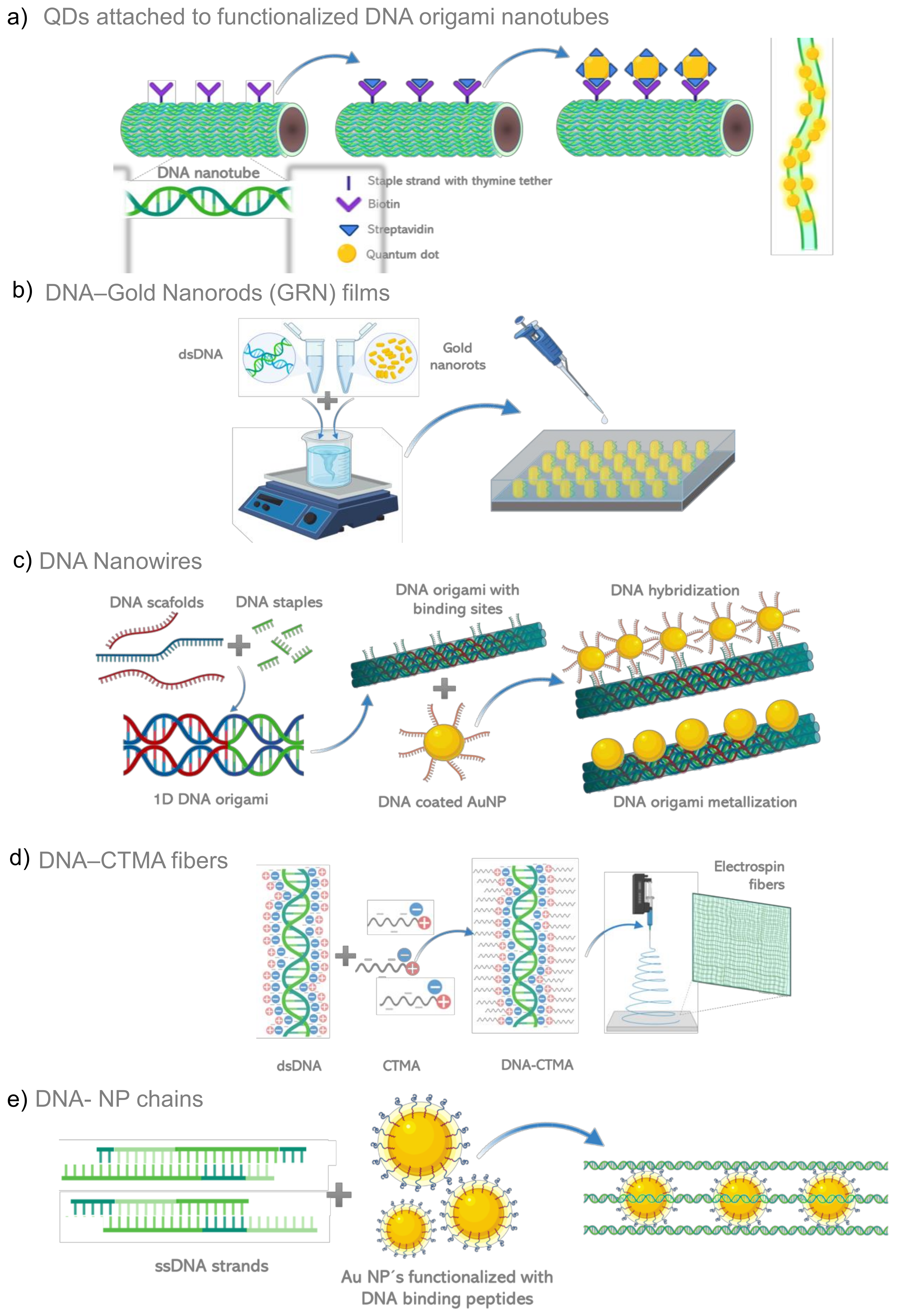 Biosensors 12 00962 g005 Biosensors 12 00962 g005