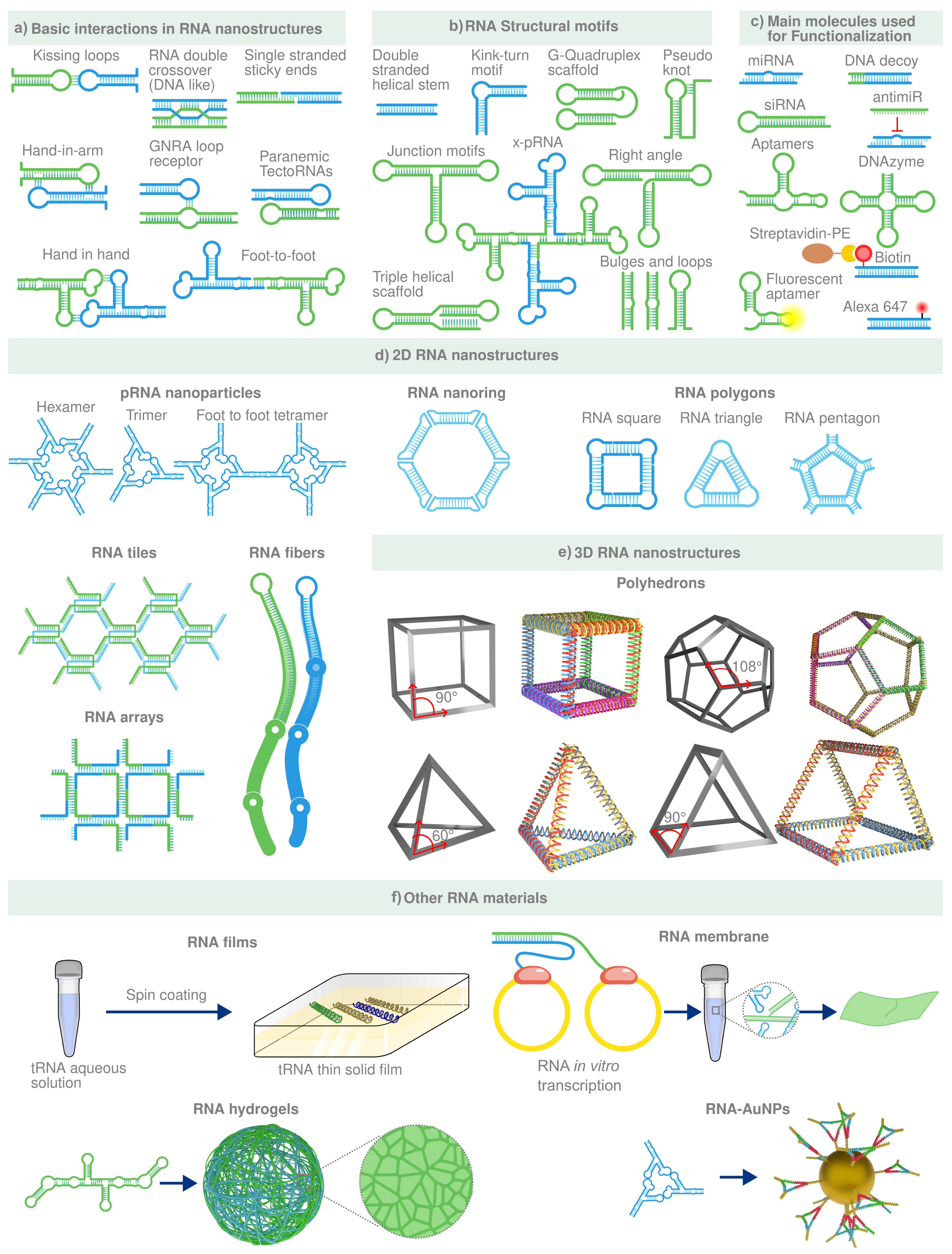 Biosensors 12 00962 g006 Biosensors 12 00962 g006