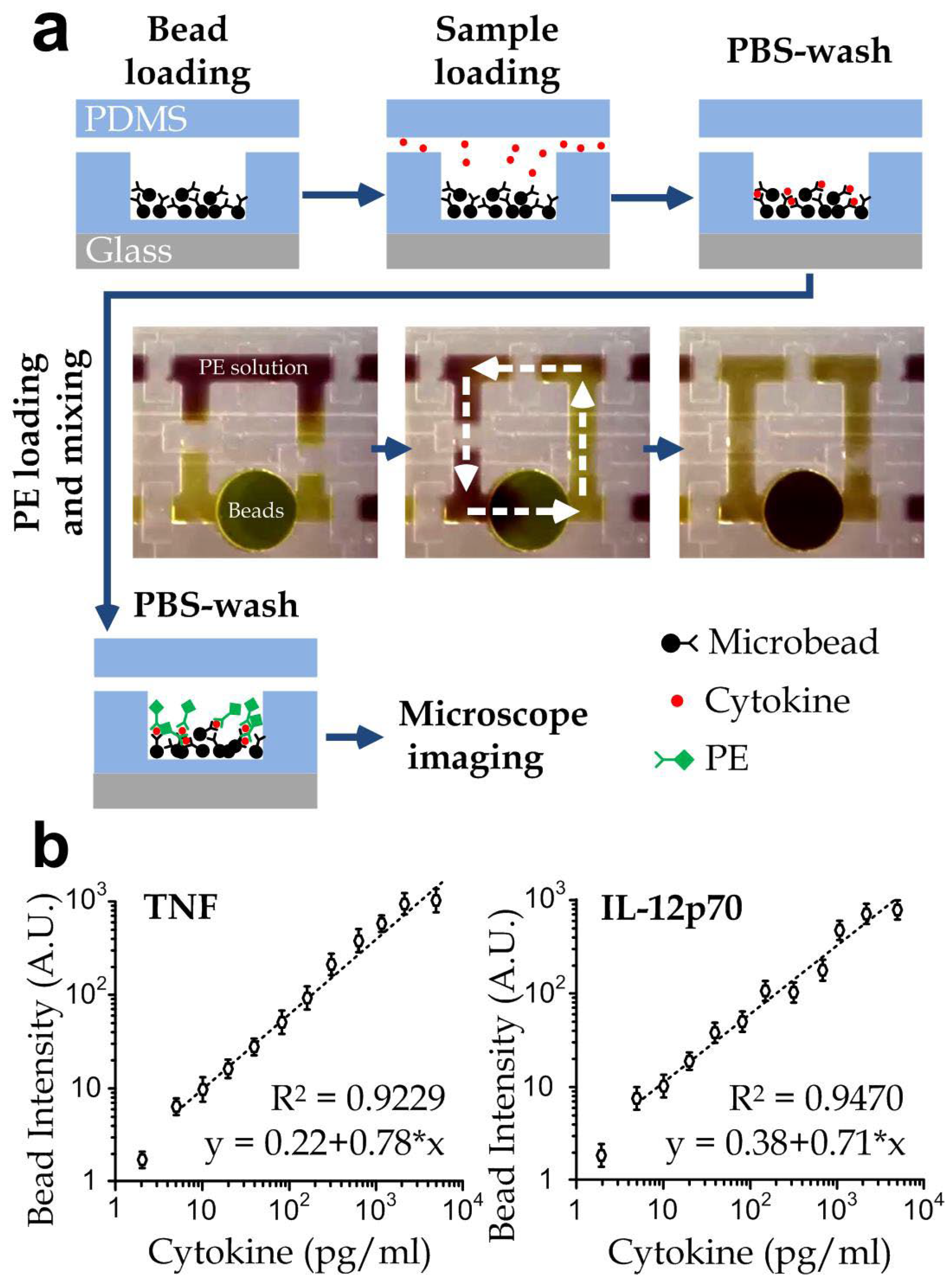 Biosensors 12 00963 g002 Biosensors 12 00963 g002